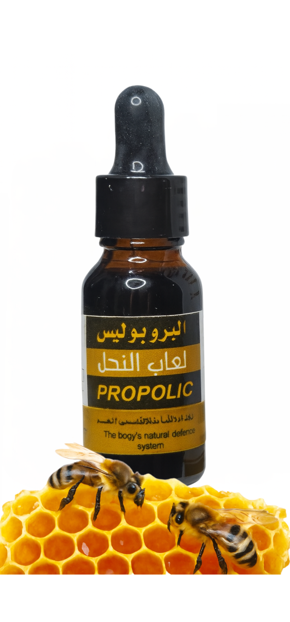 قطر البروبوليس