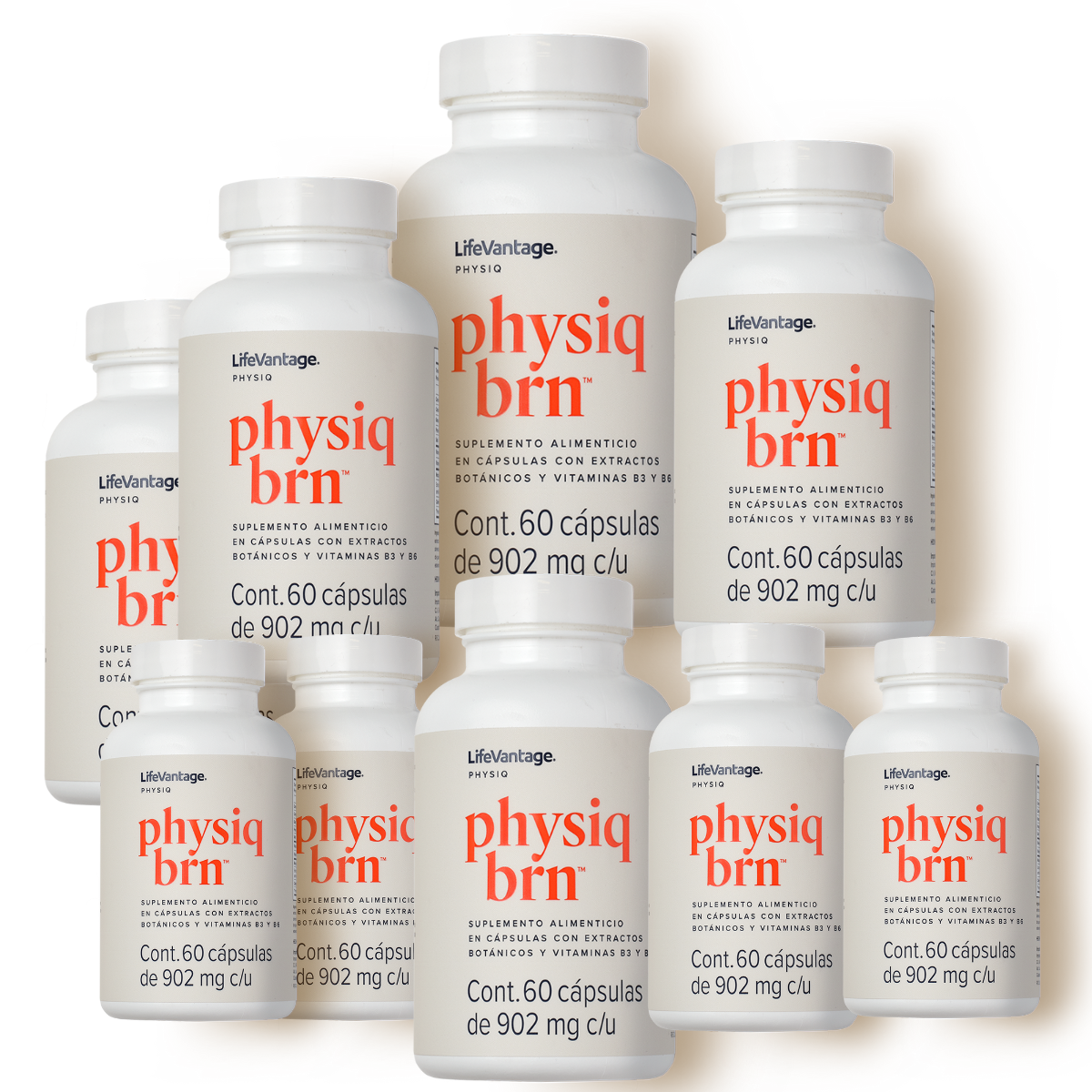 9x Physiq Brn - LifeVantage