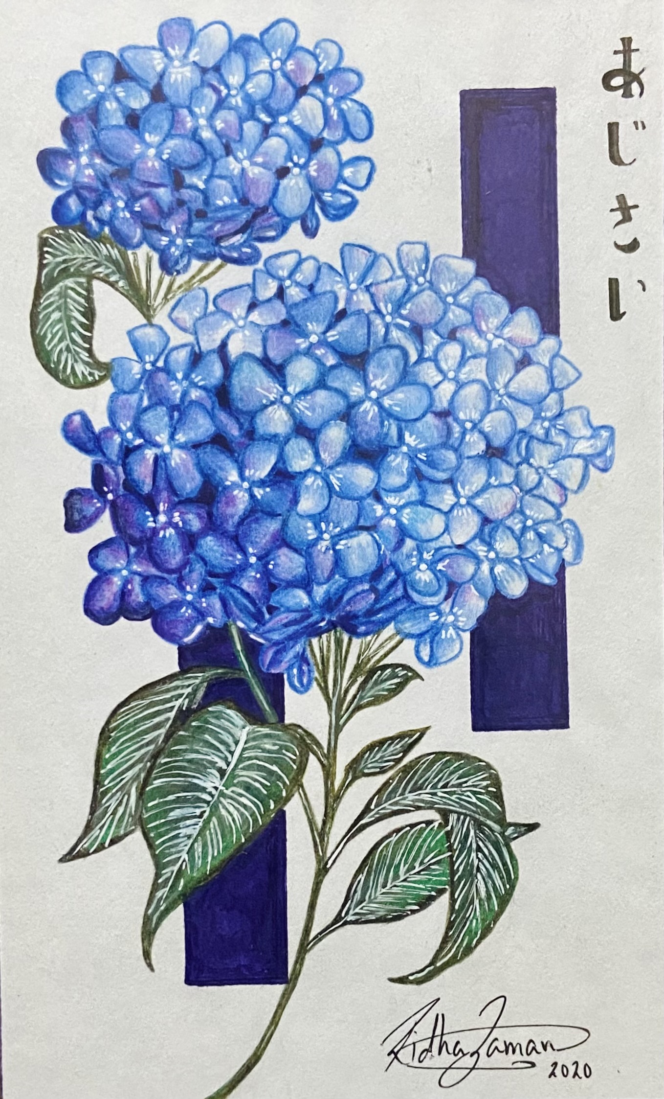 "Ajisai" Print