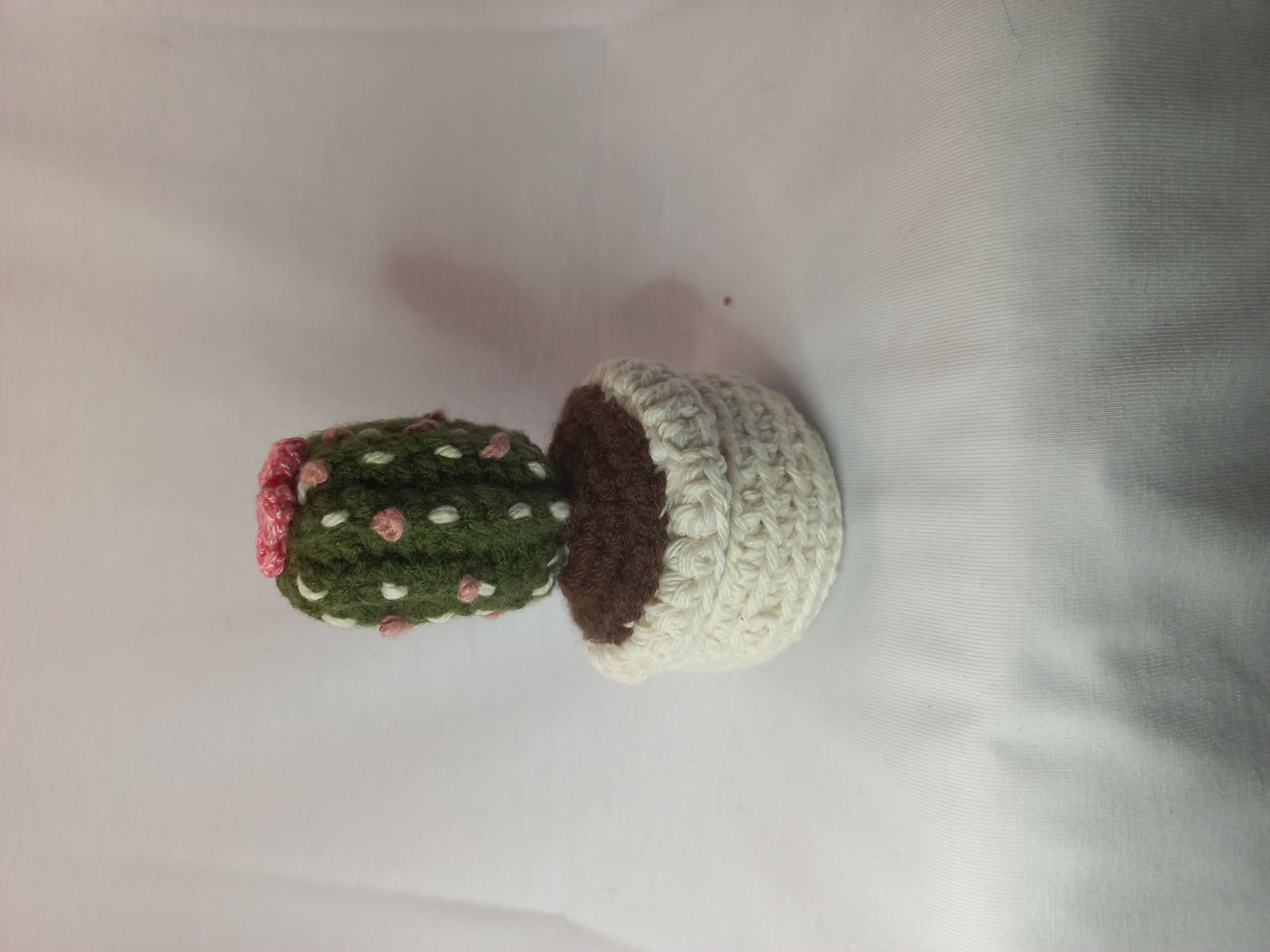 Cactus tejido a mano