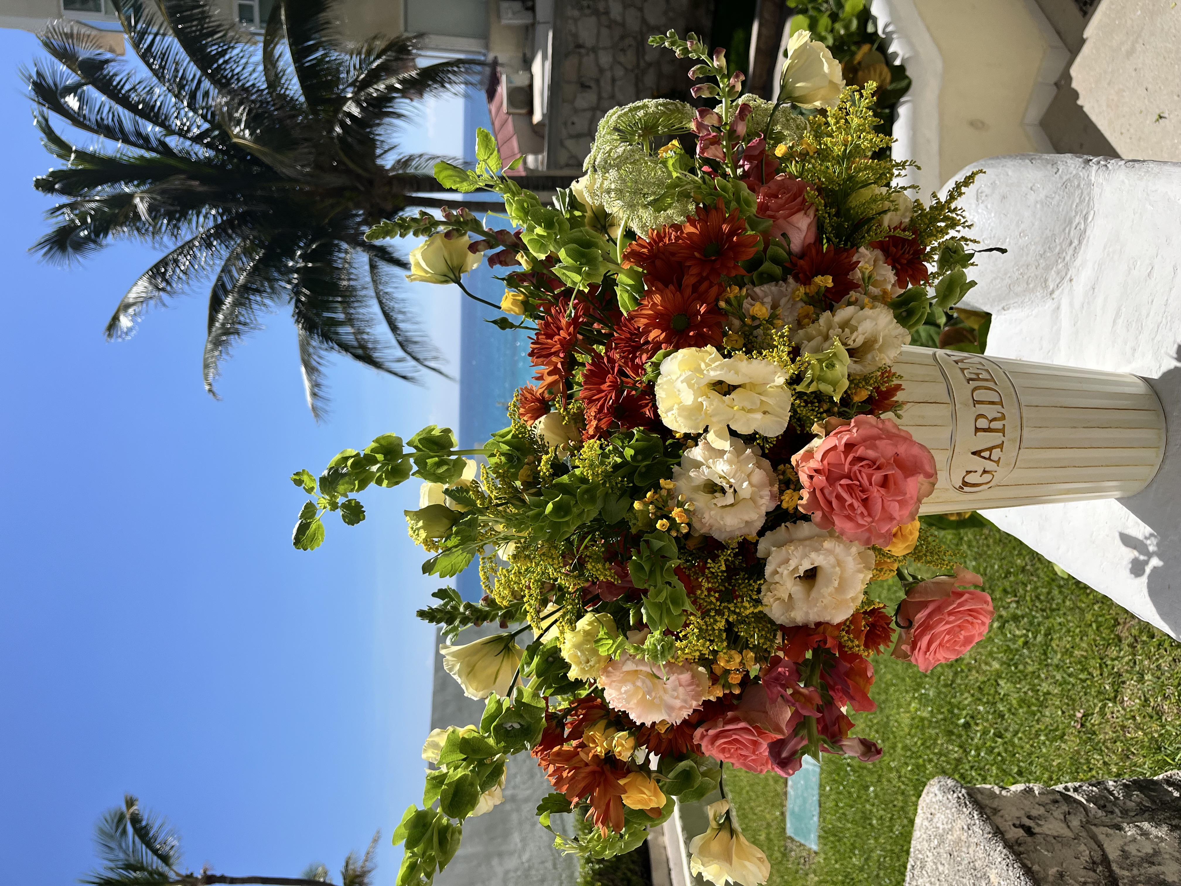 Barista's Choice (Arreglo)