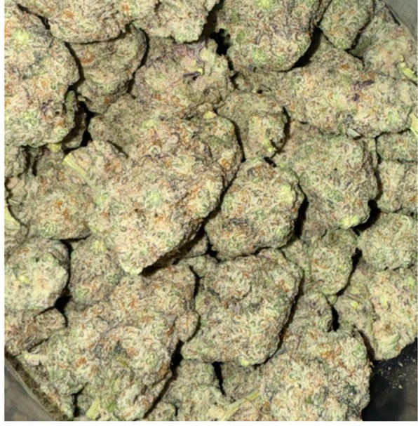 BC SHOTGUN THC 31% HYBRID