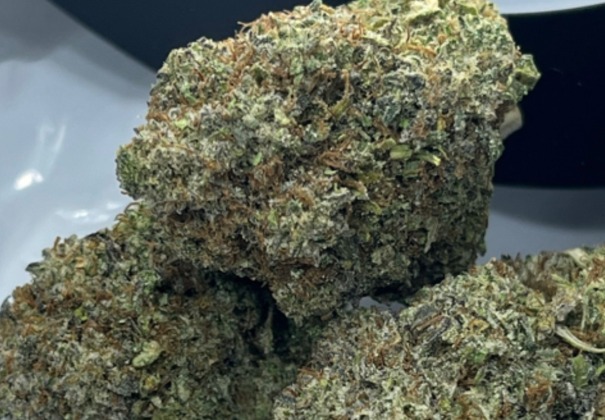 BC PINK PANTHER THC 32% SATIVA