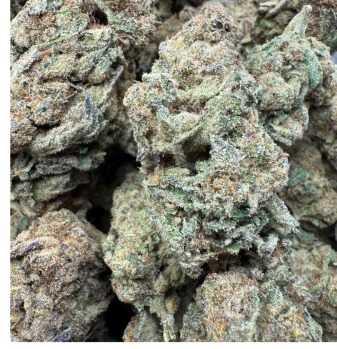 PURPLE PUNCH  THC 27% INDICA 