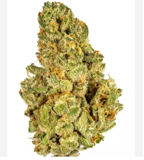 GREEN CRACK THC 27% SATIVA 