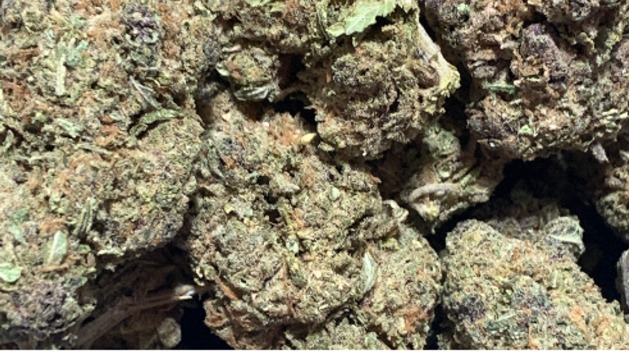 NINJA FRUIT THC 29% HYBRID