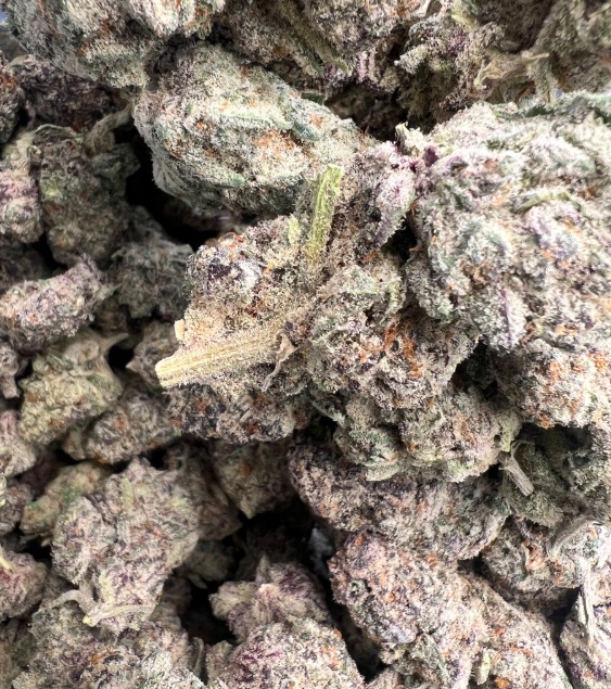 BC GREASE MONKEY THC 30% INDICA