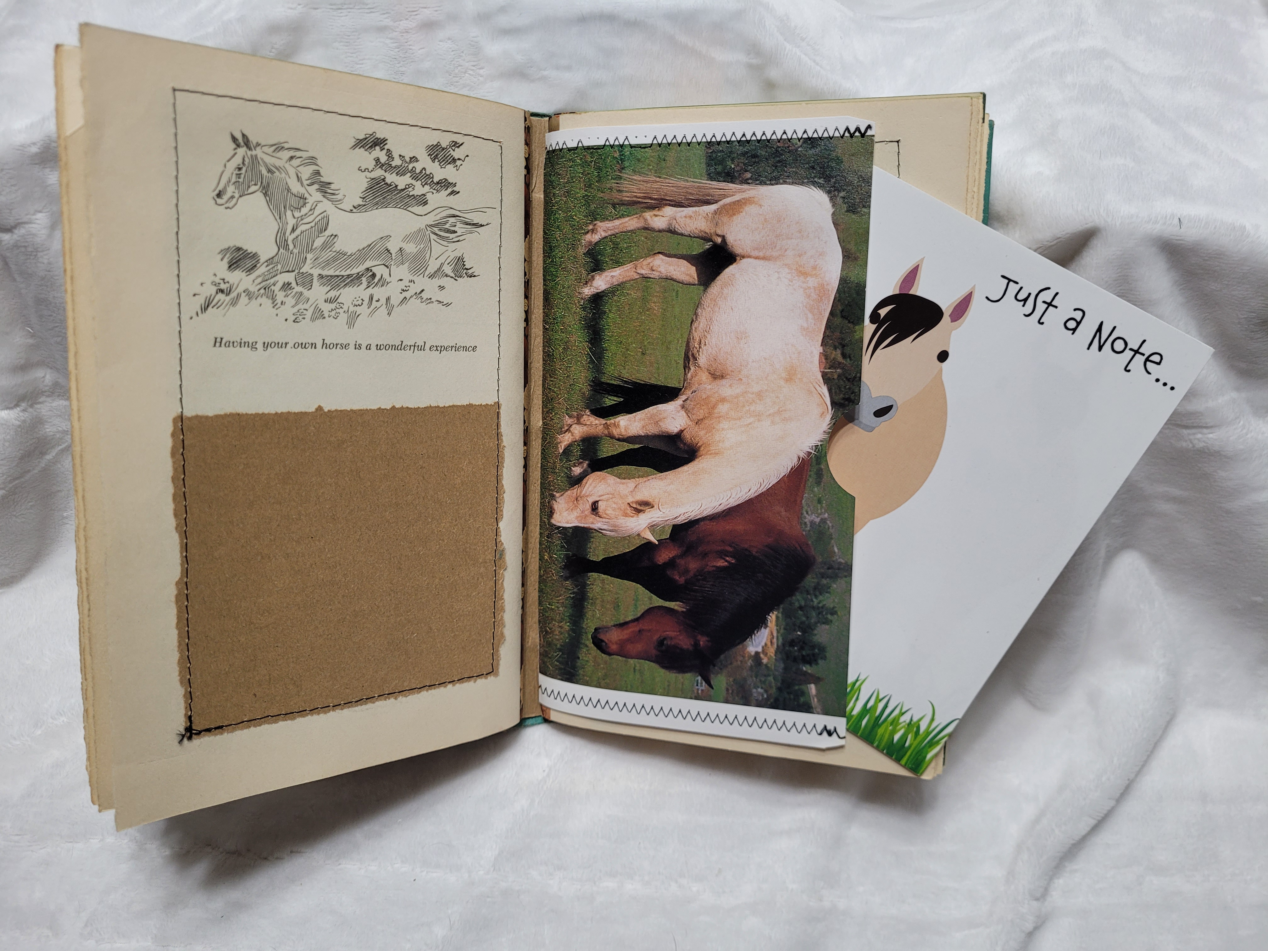 All About Horses Journal