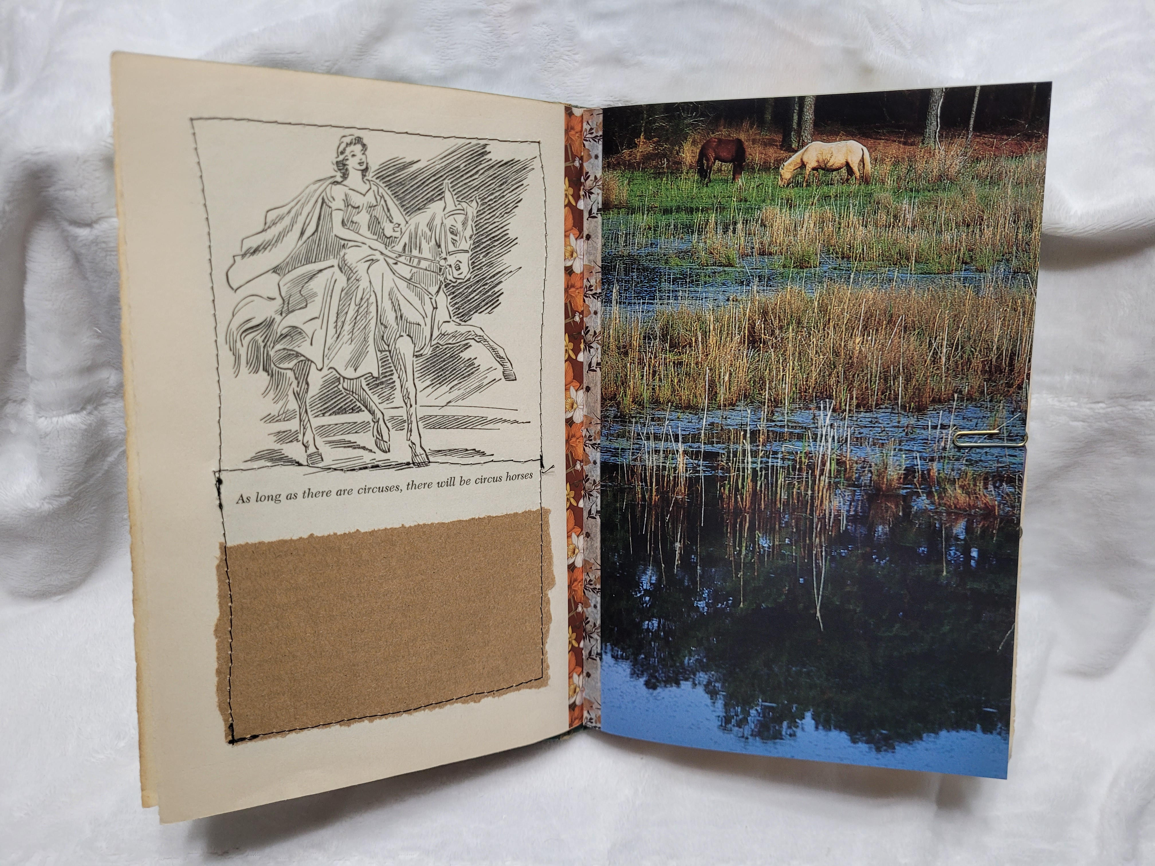 All About Horses Journal
