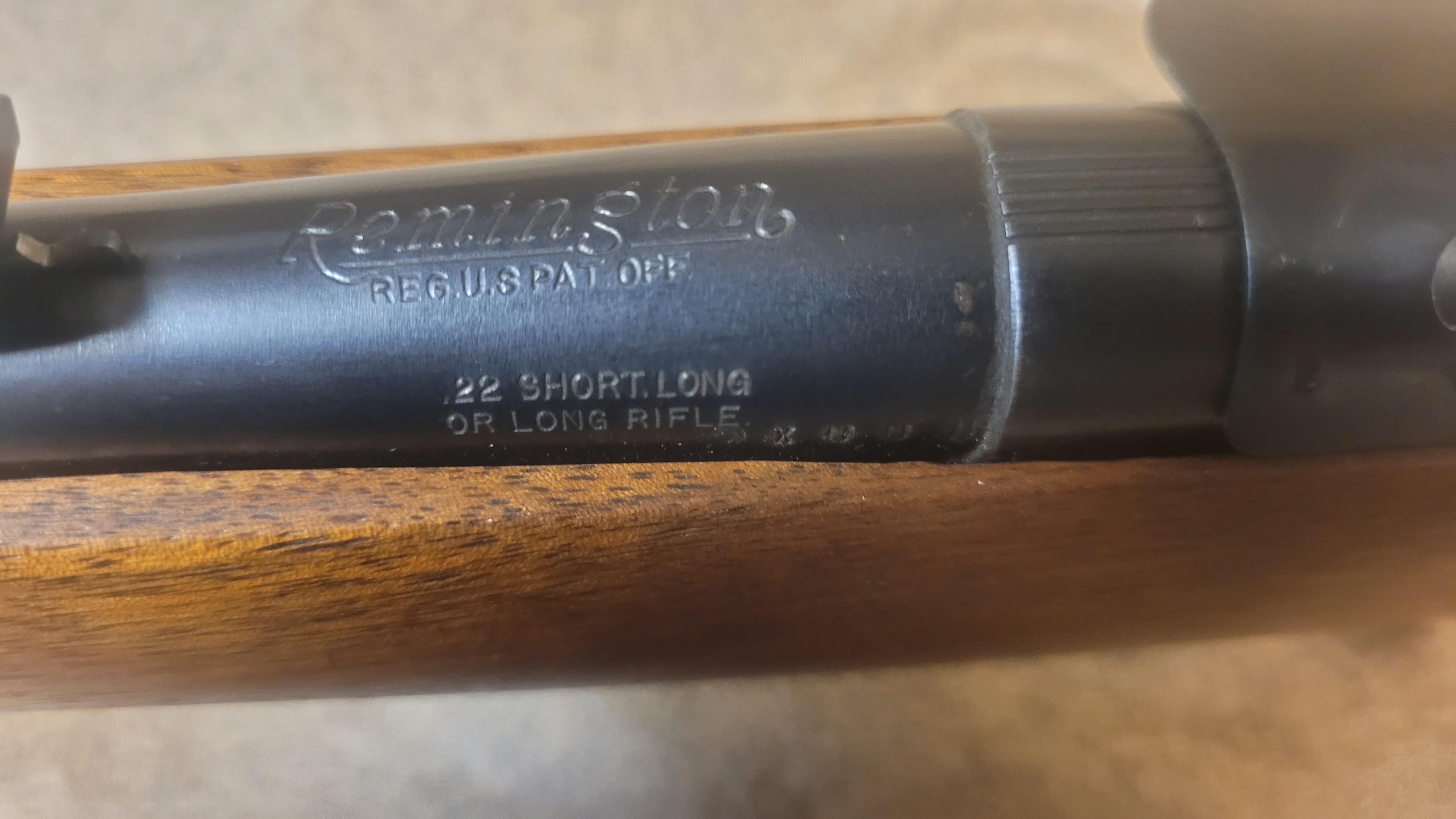 Remington 550-1 22 Short Long and Long Rifle