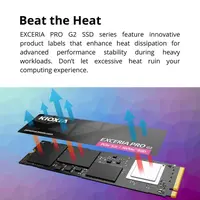 KIOXIA EXCERIA PRO NVMe SSD 1TB / Storage for Laptop atau PC / PCle Gen5 SSD 