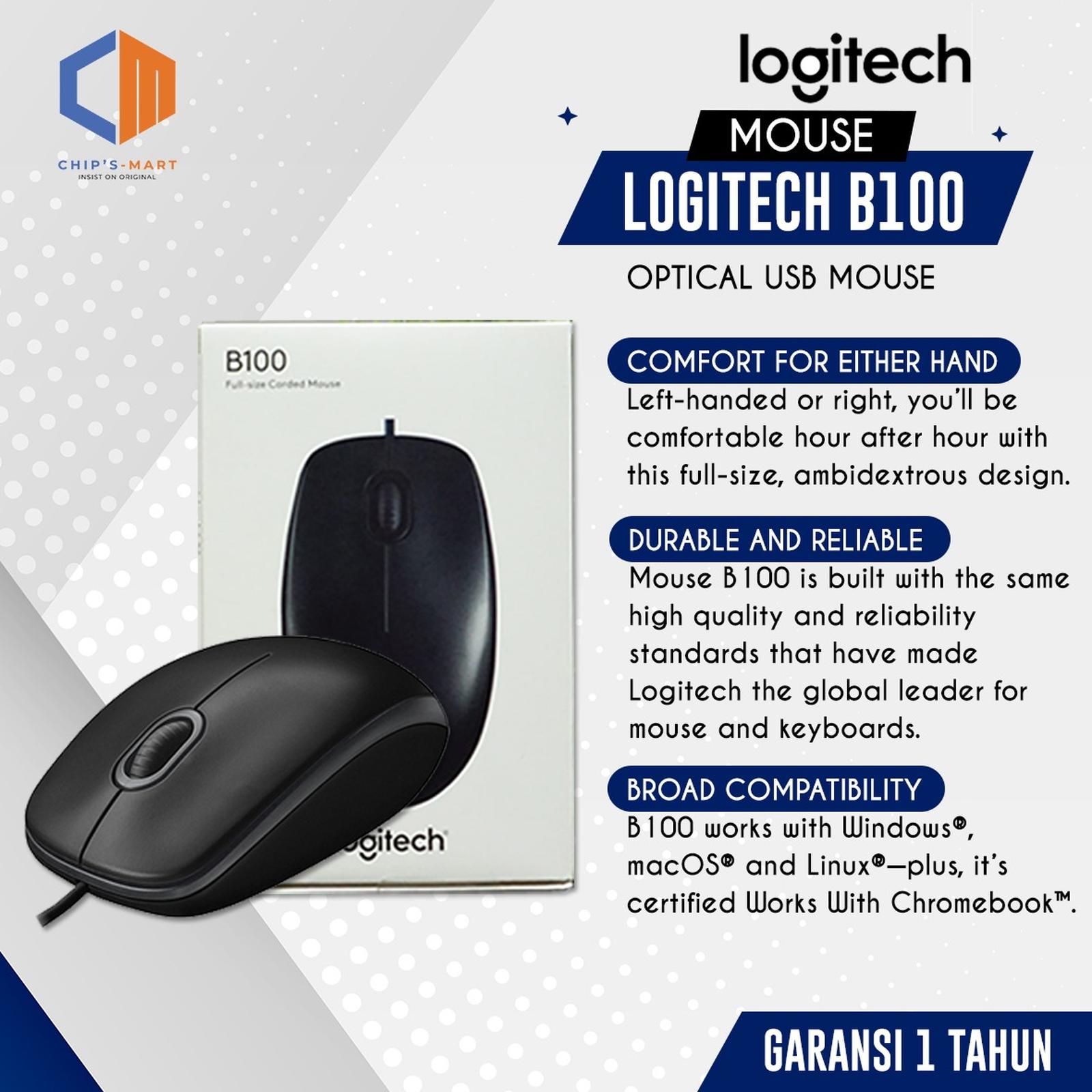 Logitech B100