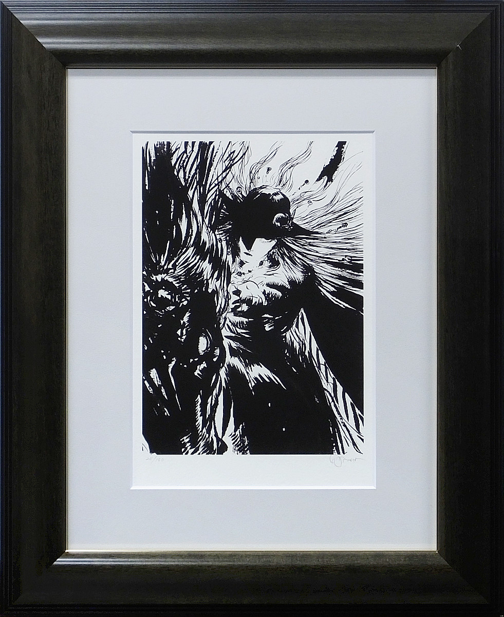 Vampire Hunter D "SOAR" 2013