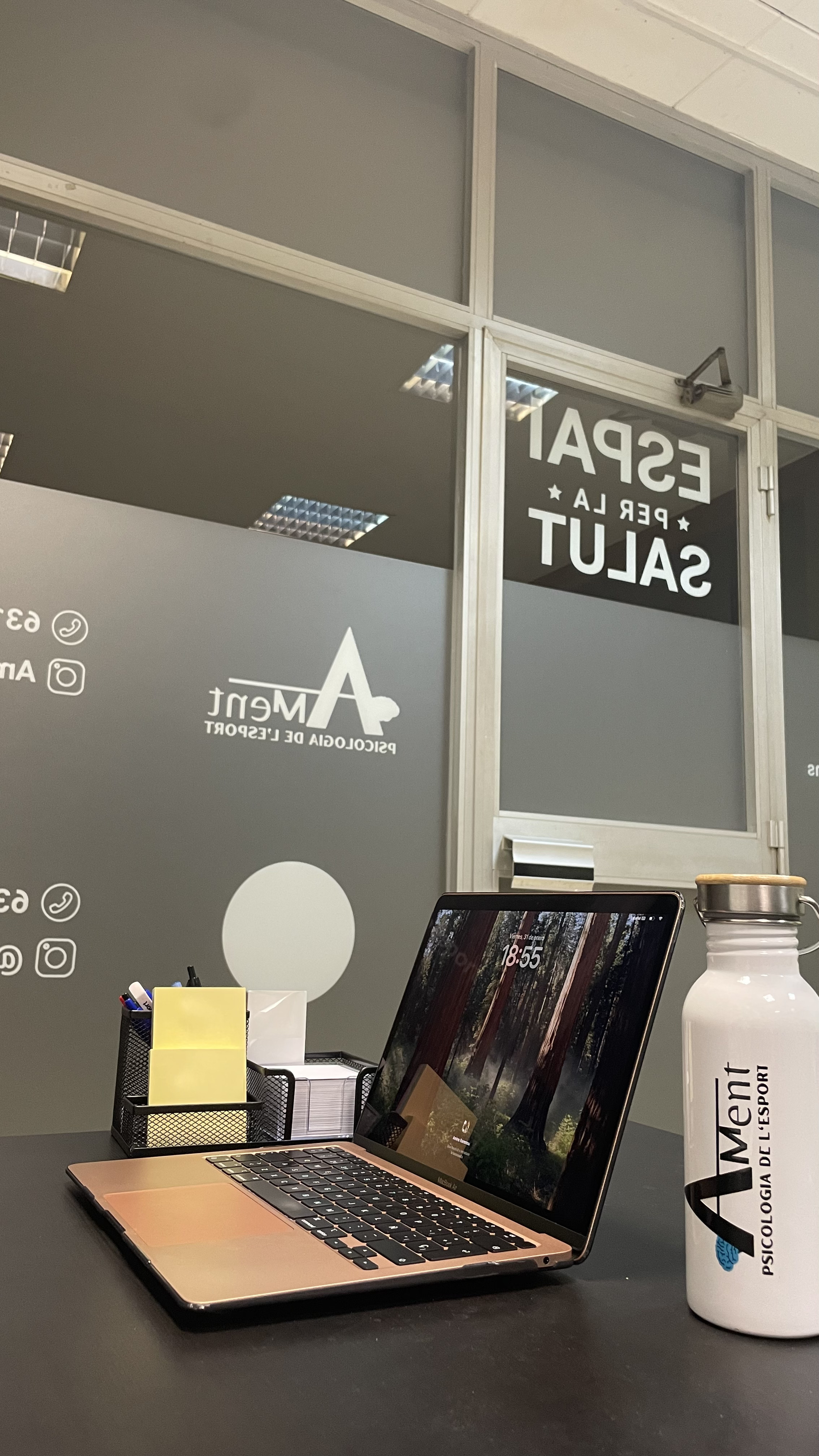 Sessió d’avaluació i objectius de Psicologia de l’esport