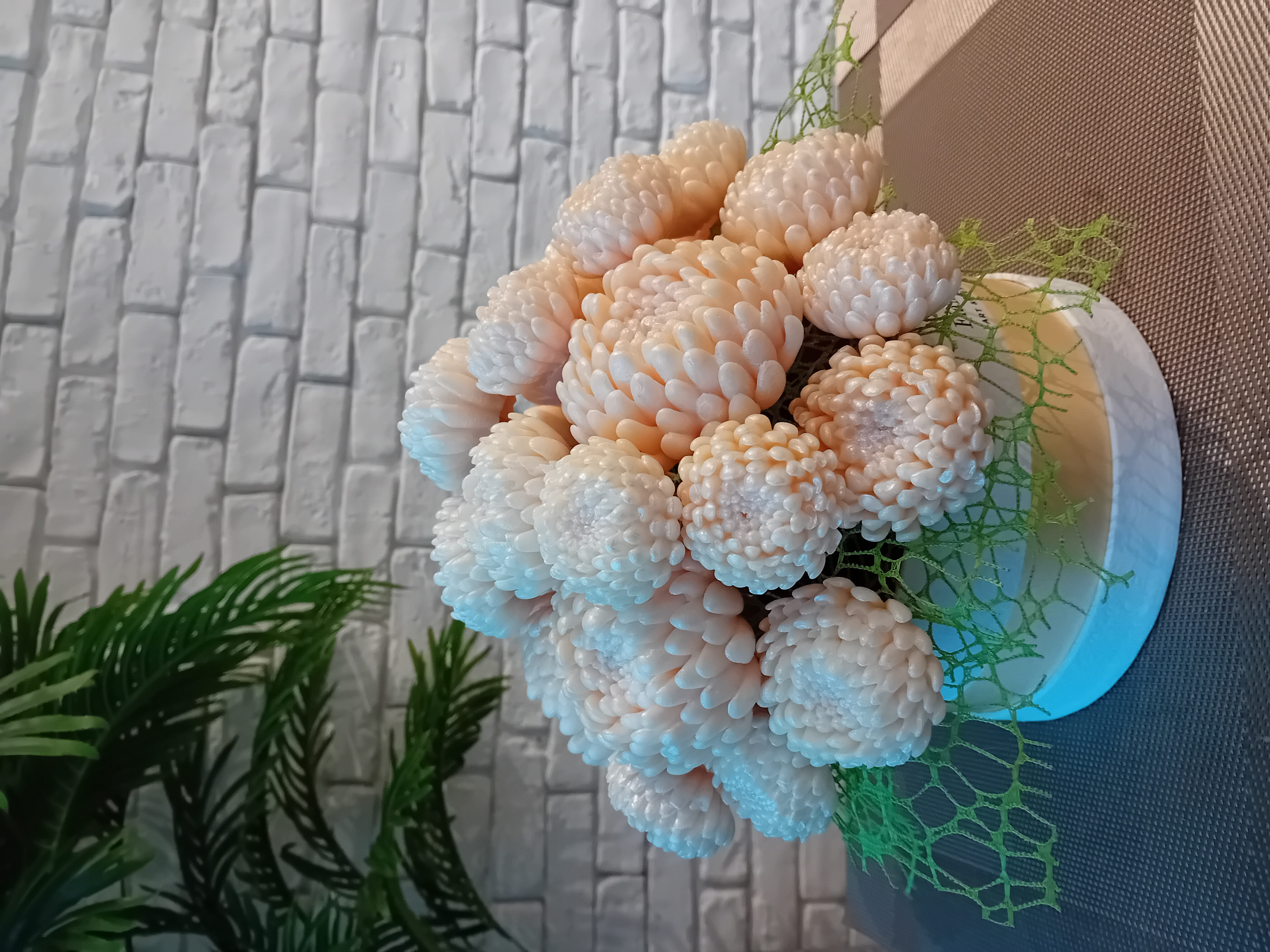 Хризантеми Orchestra в цвят шампанско