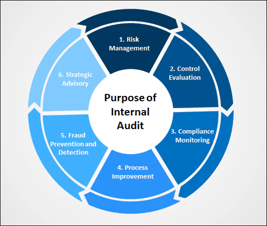 Operational Efficiency Audits