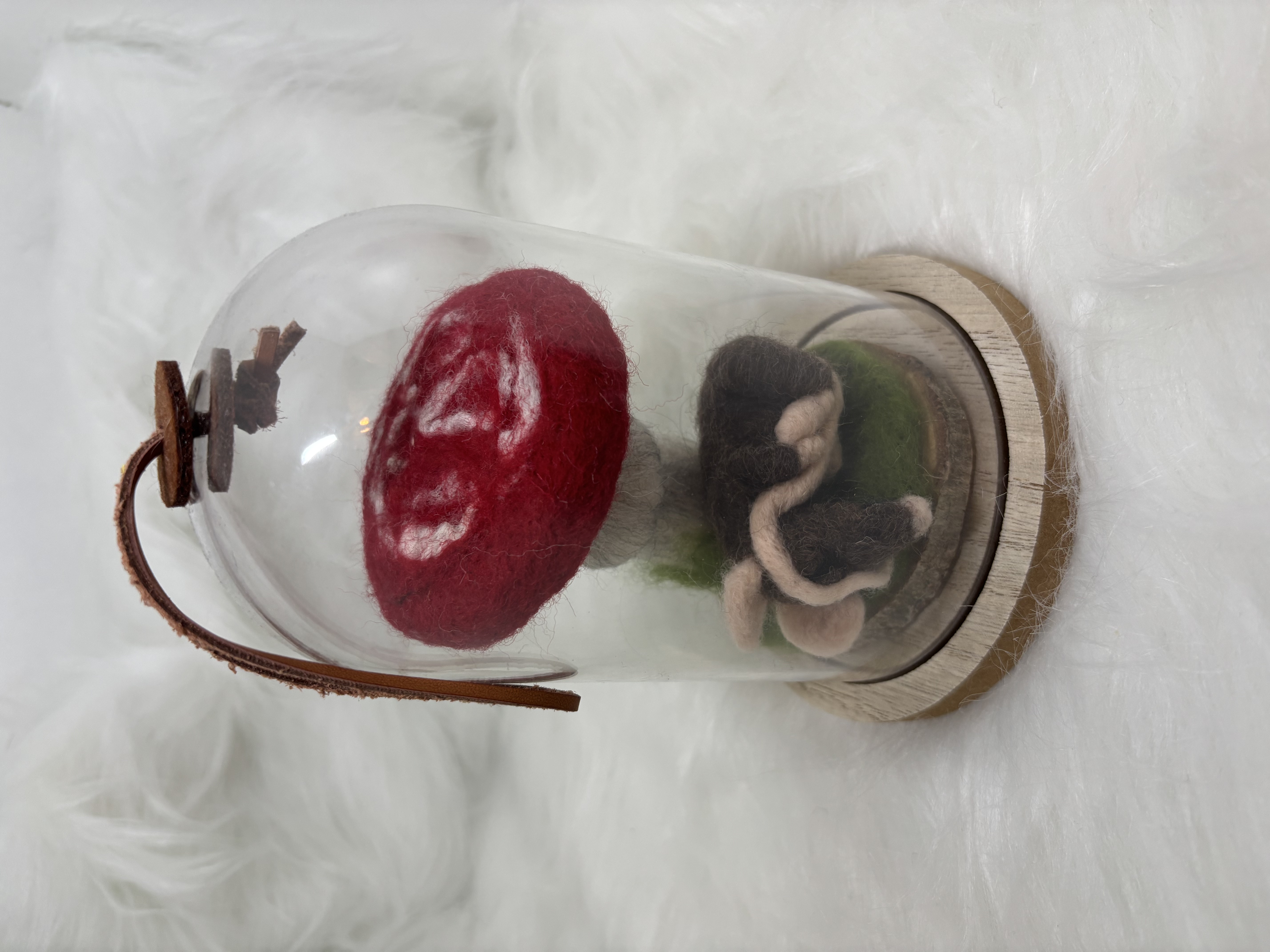 Vilten paddenstoel onder stolp