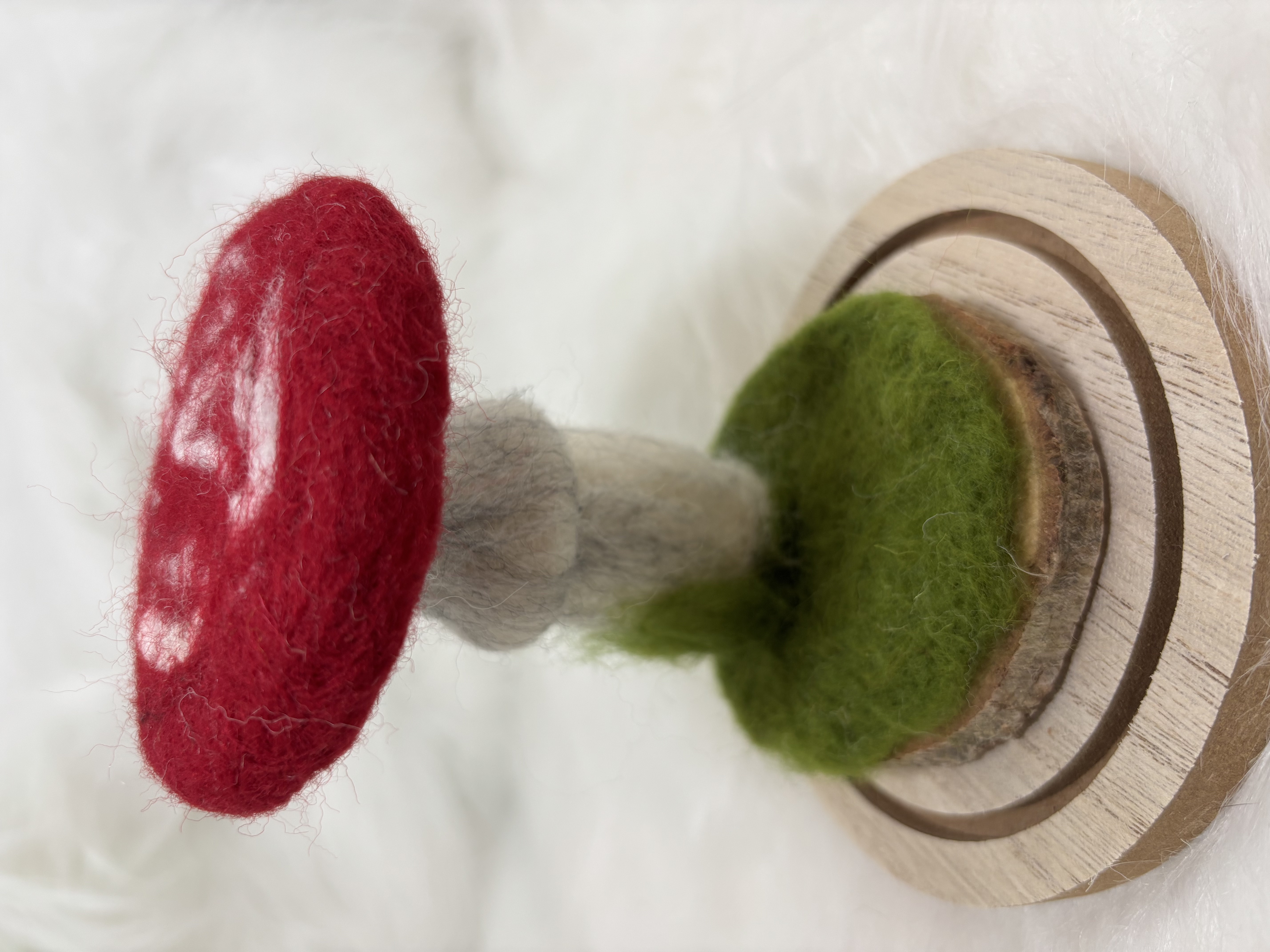 Vilten paddenstoel onder stolp