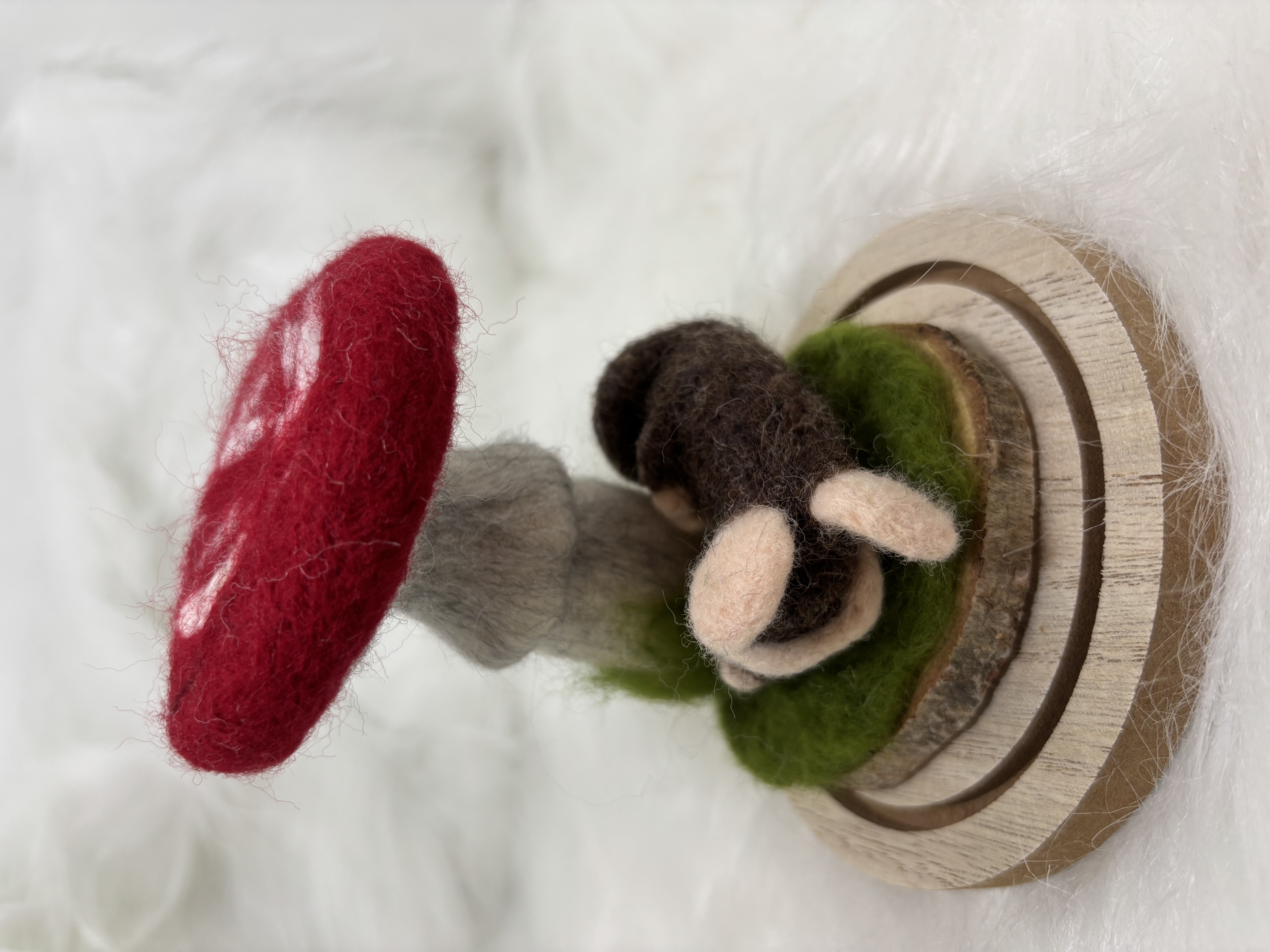 Vilten paddenstoel onder stolp