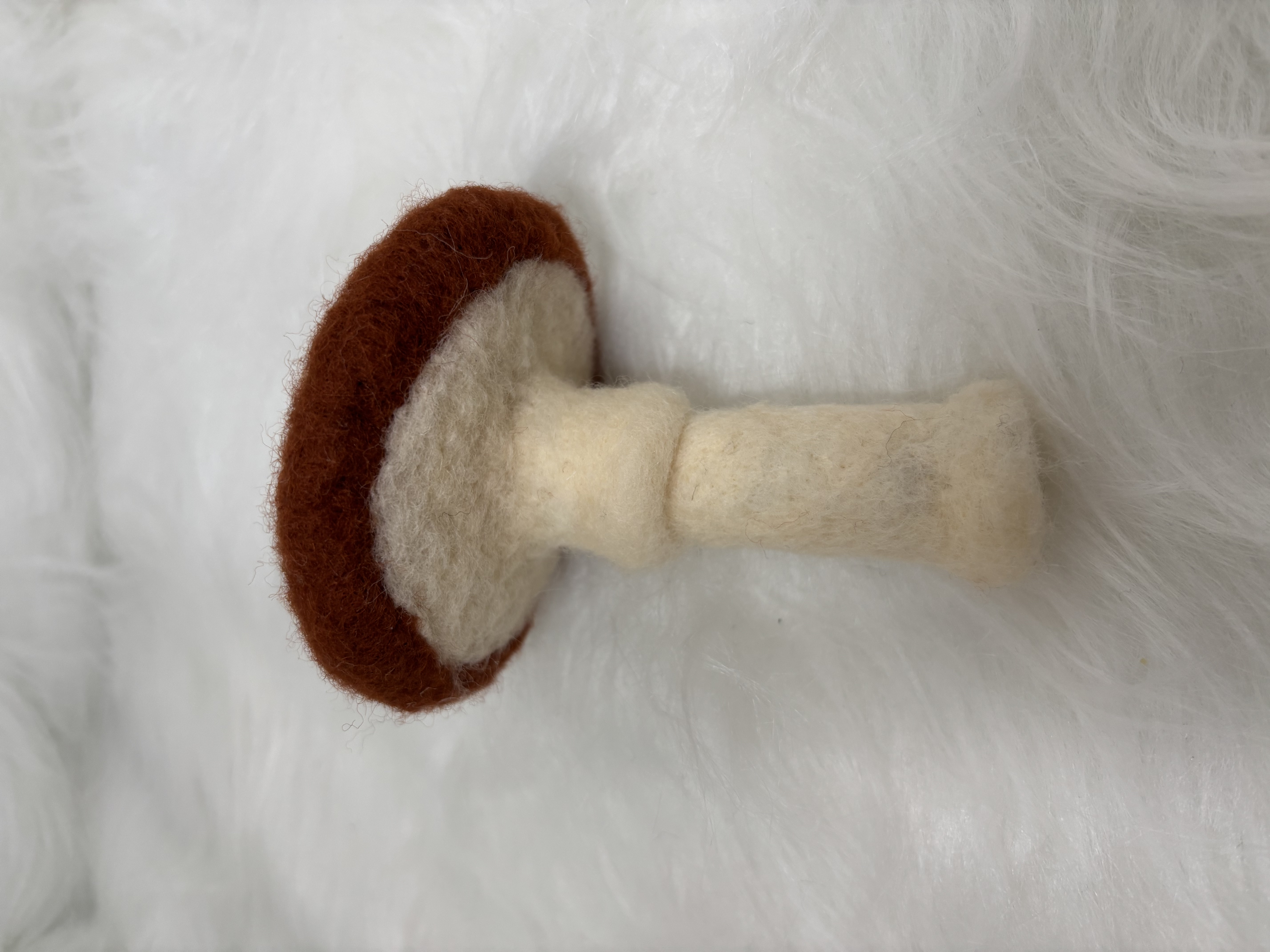 Vilten paddenstoel onder stolp