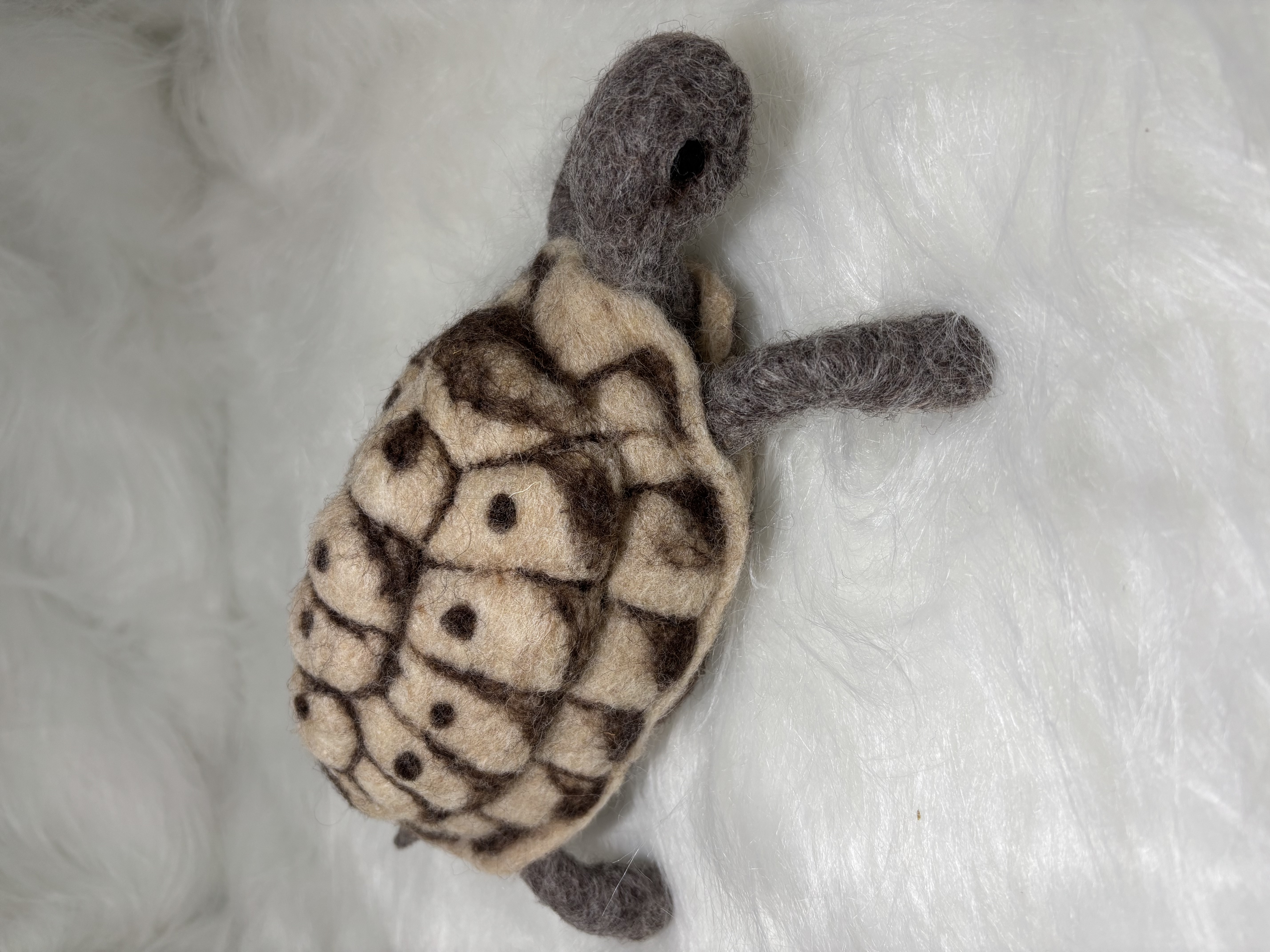 Genaaldvilte schildpad 