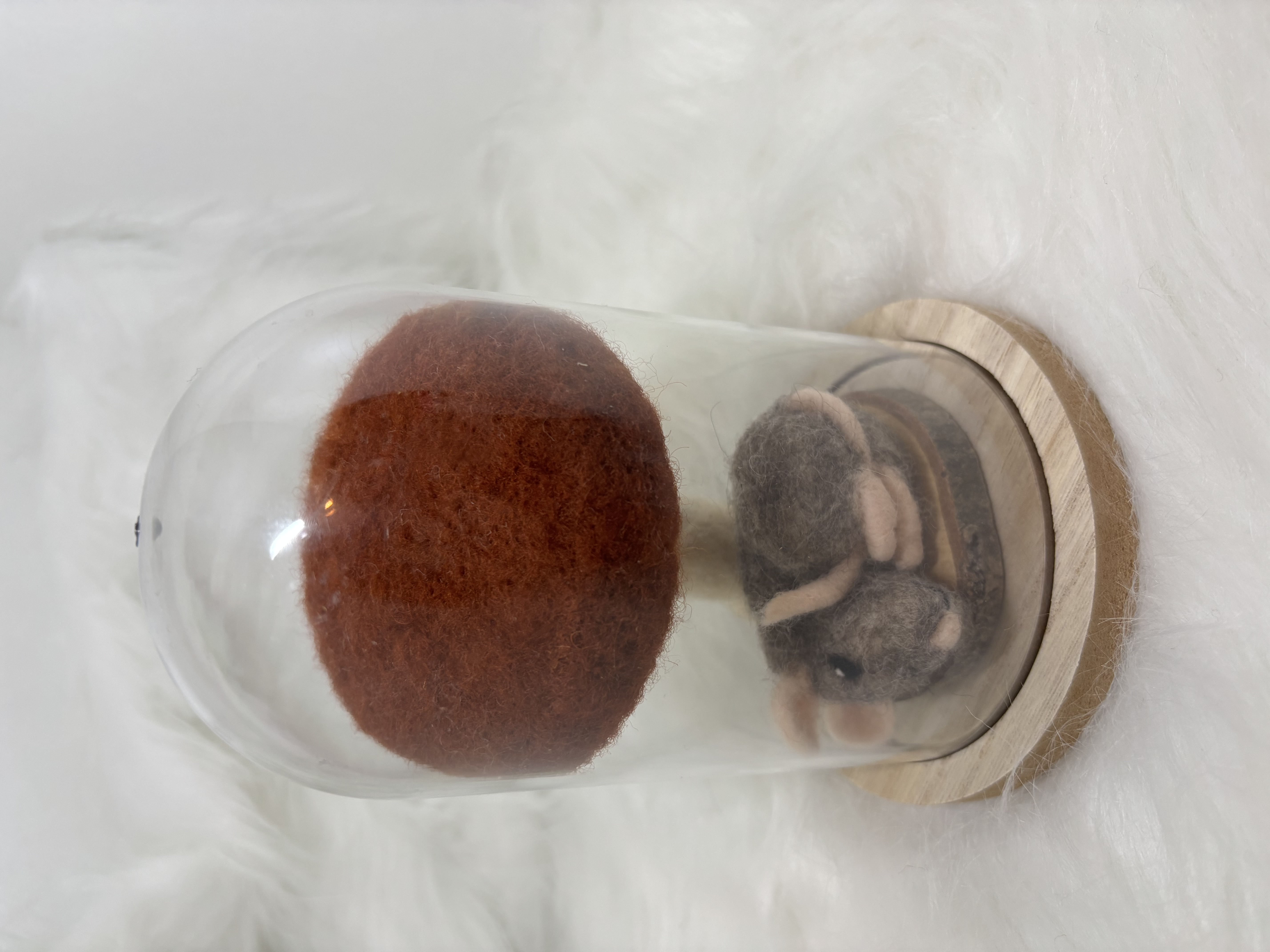 Vilten paddenstoel onder stolp