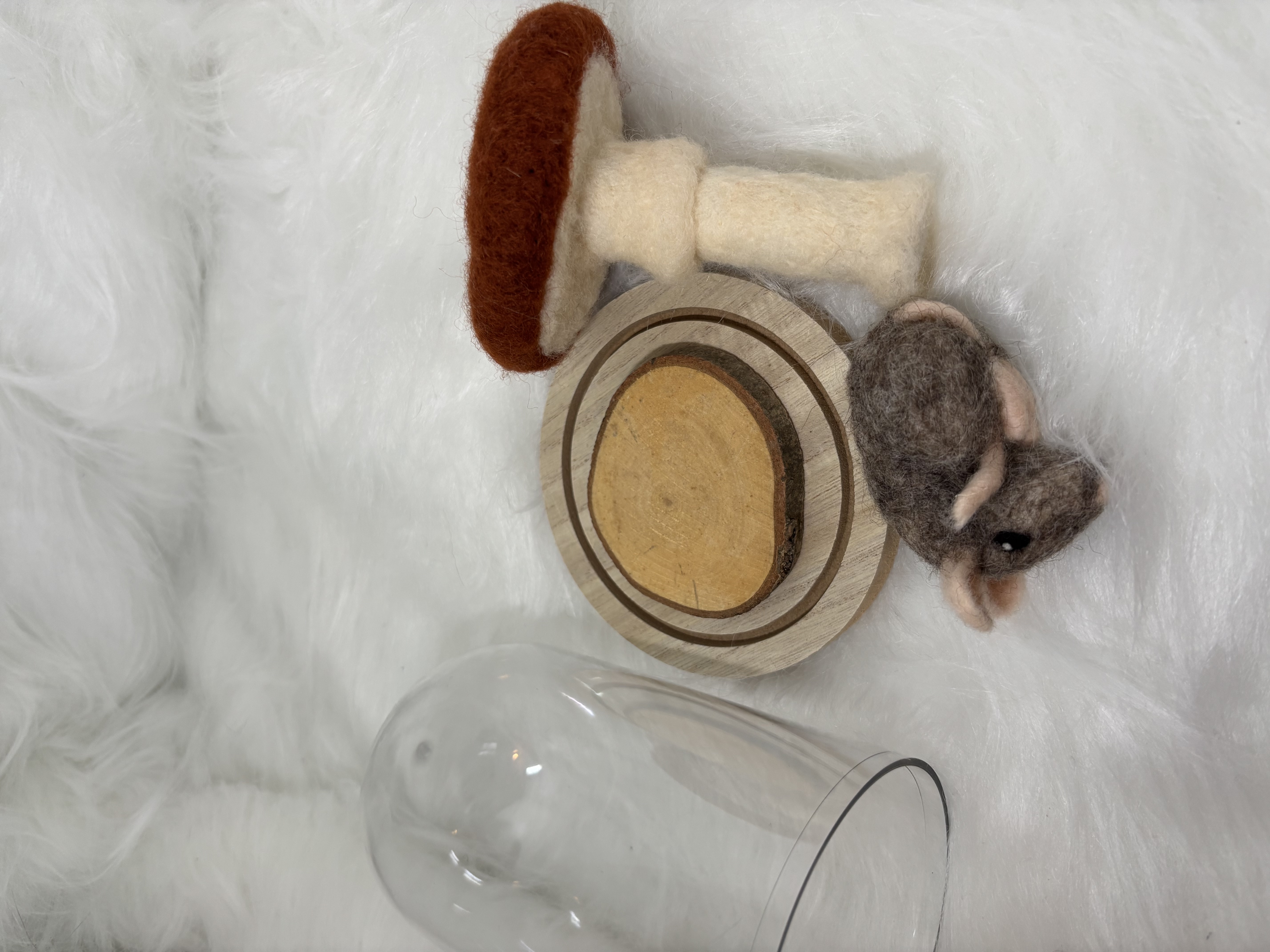 Vilten paddenstoel onder stolp