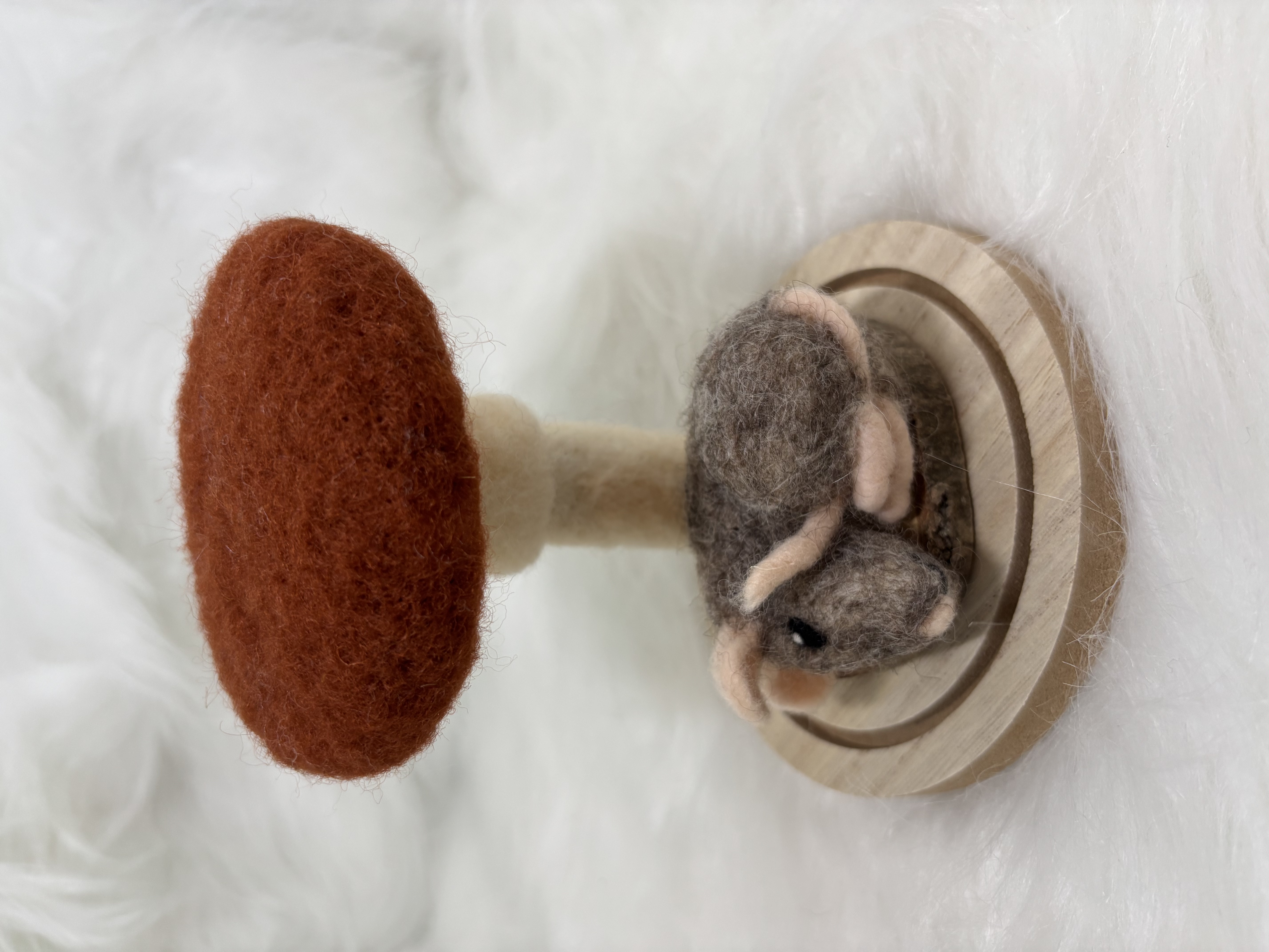 Vilten paddenstoel onder stolp