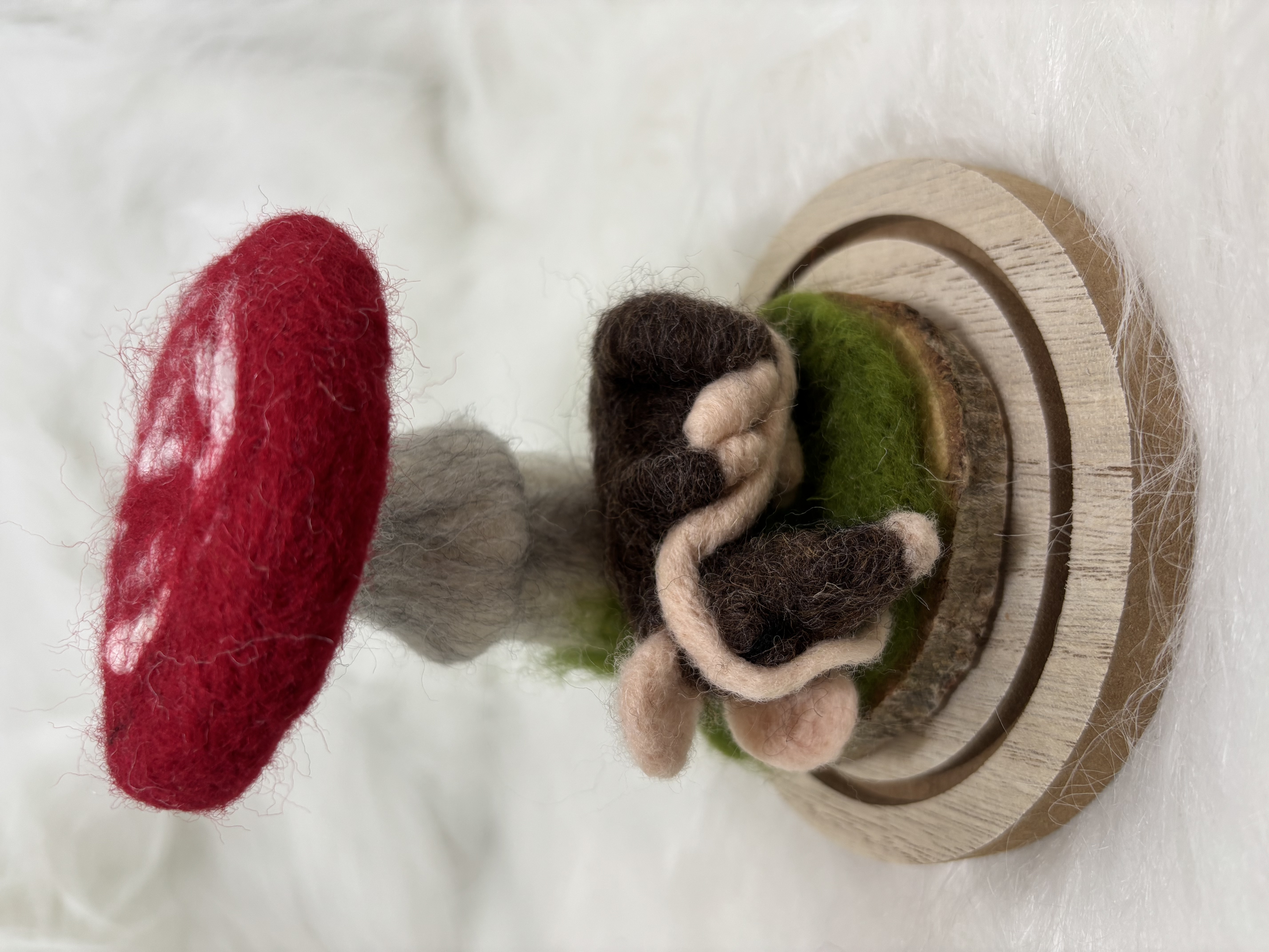 Vilten paddenstoel onder stolp