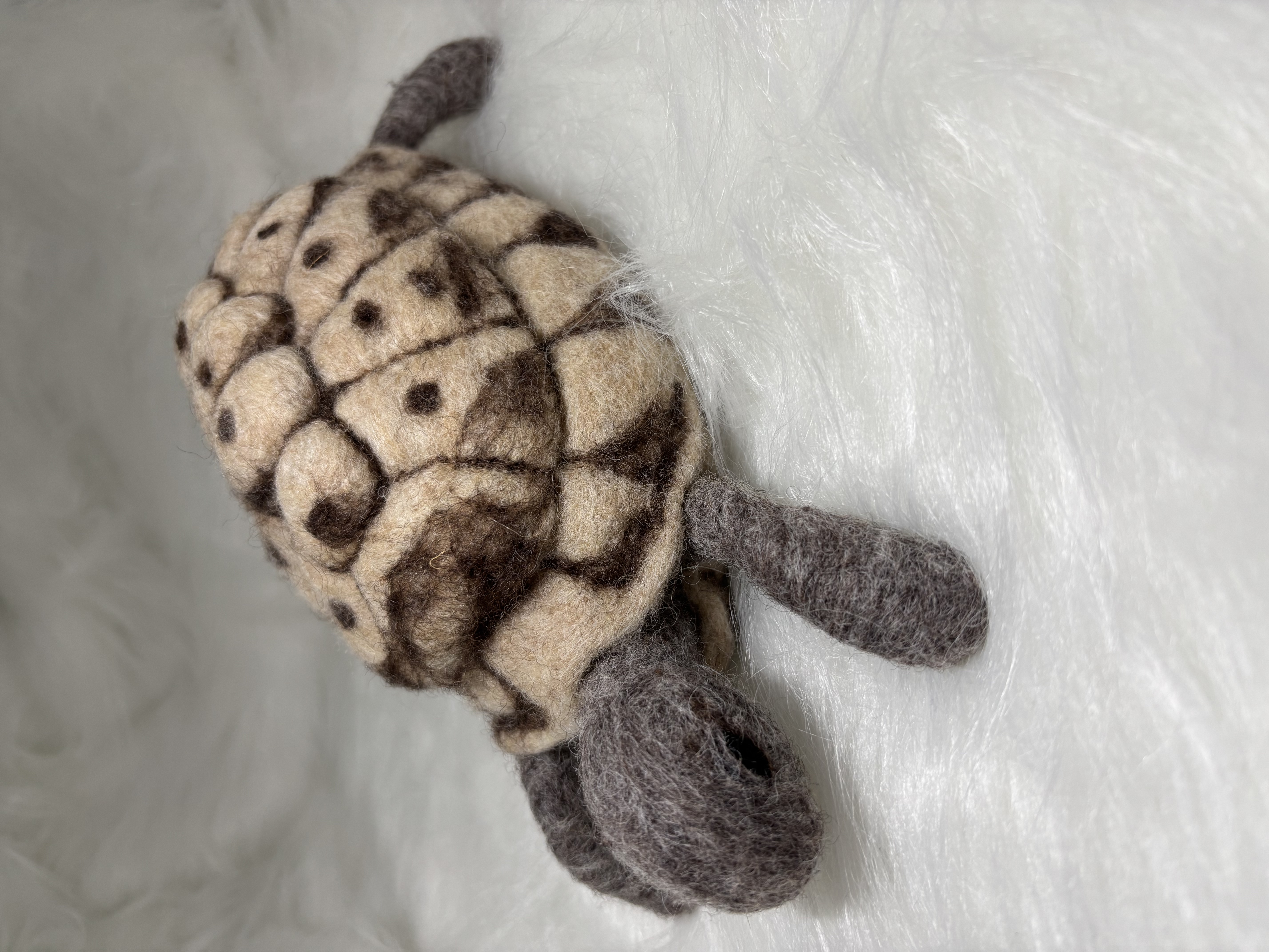 Genaaldvilte schildpad 