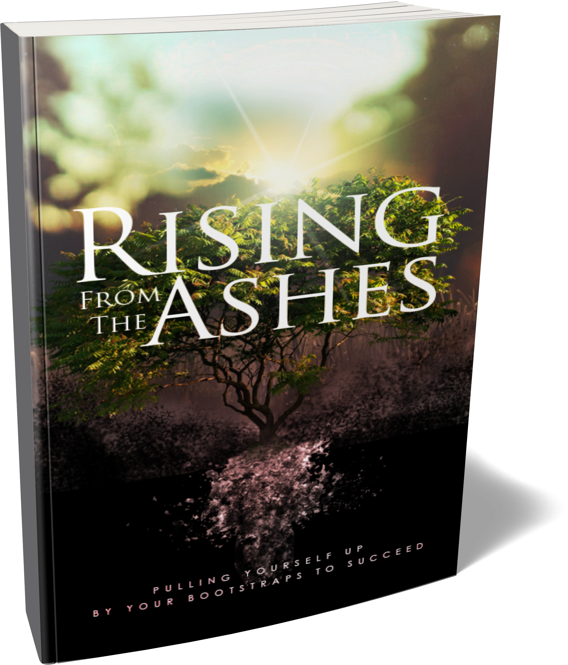 Rising From the Ashes (Audiobook+E-Book)