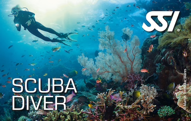 SSI Scuba Diver