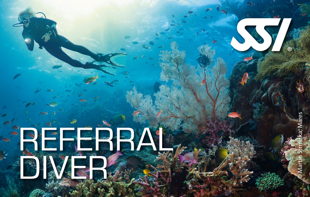 SSI Referral Diver Kurs