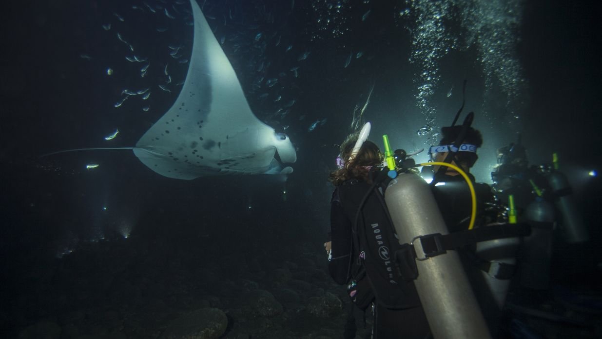 PADI Night Diver Kurs