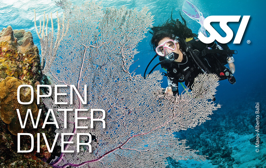 SSI Open Water Diver Kurs