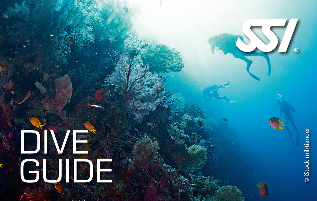 SSI DiveGuide Kurs