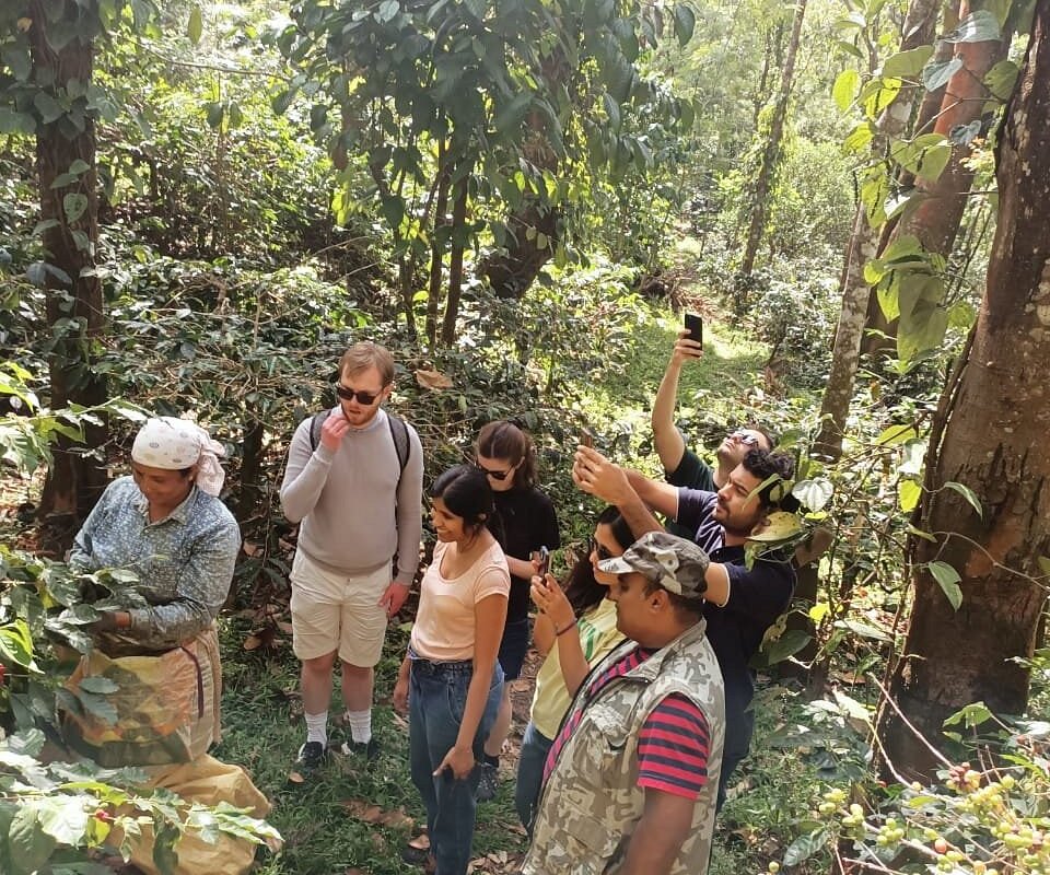 Guided Coffee Farm Tour