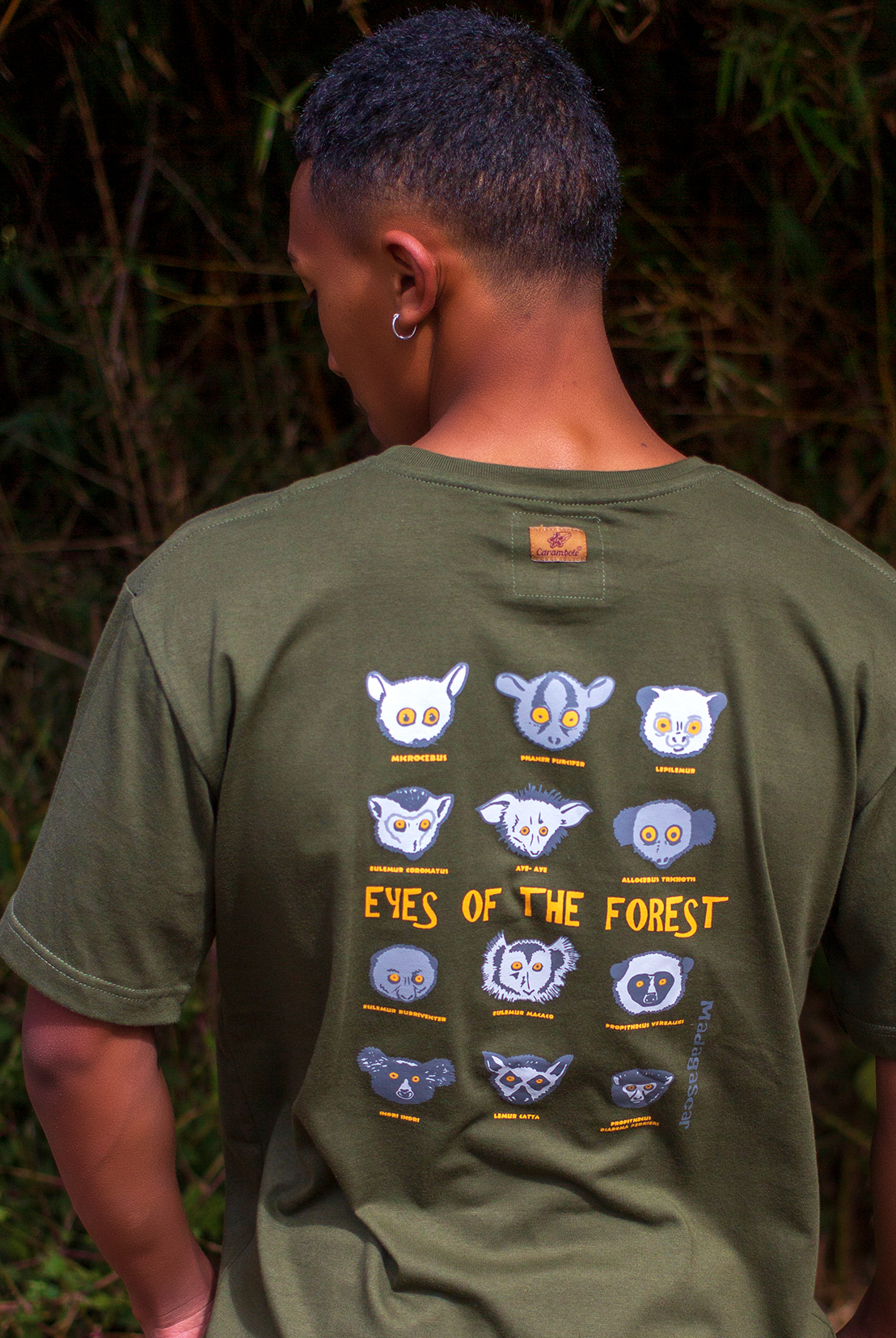 TS Eyes of the forest