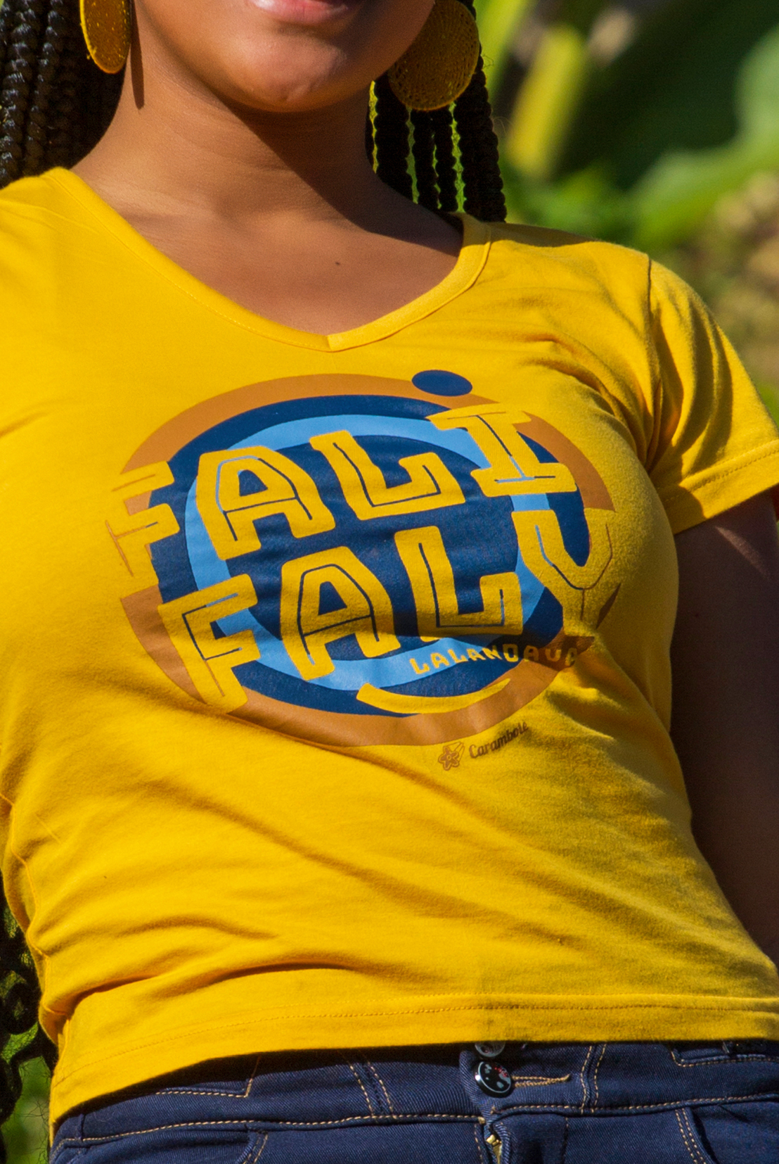 TS Falifaly Lalandava