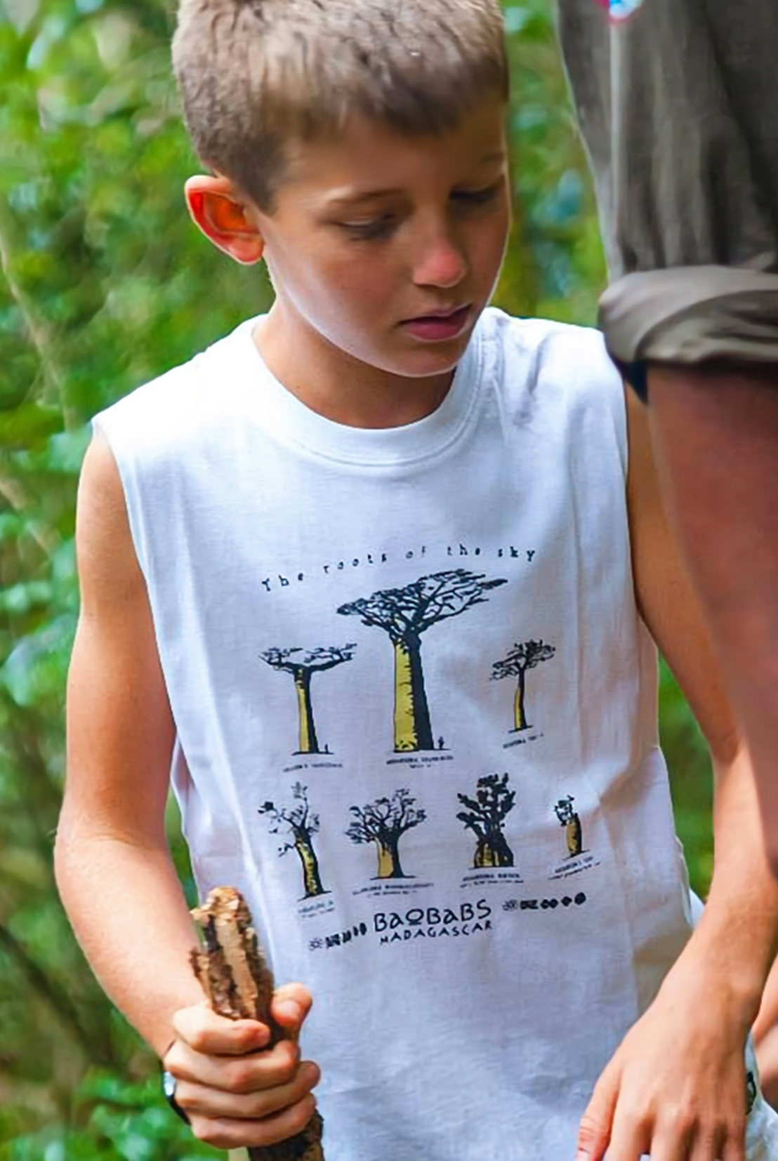 TS SM Roots of the sky