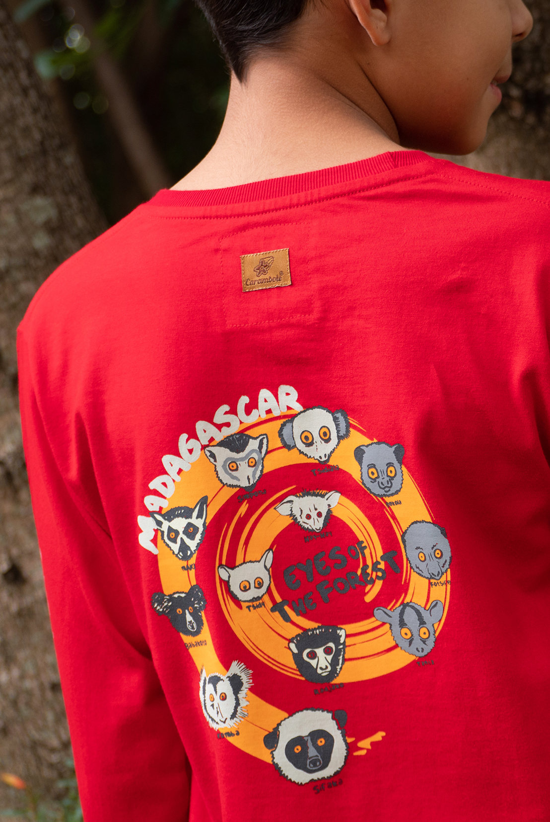 TS ML Eyes of the forest spiral