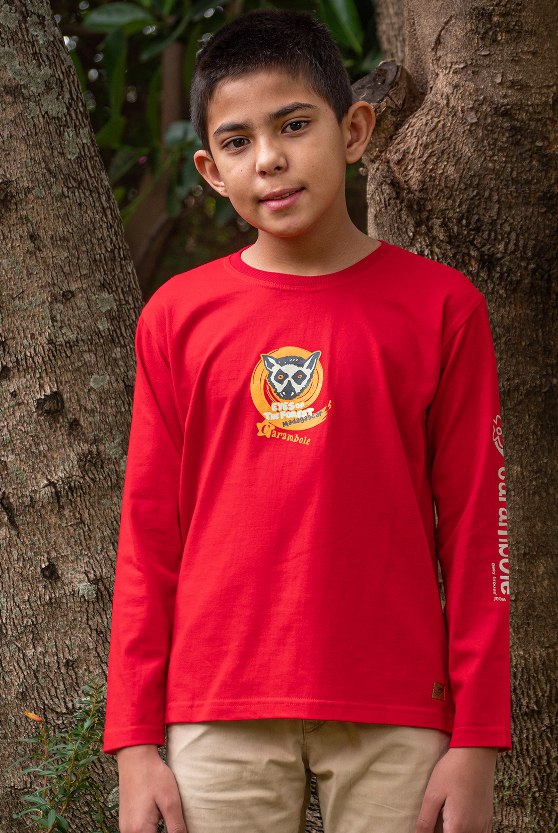 TS ML Eyes of the forest spiral