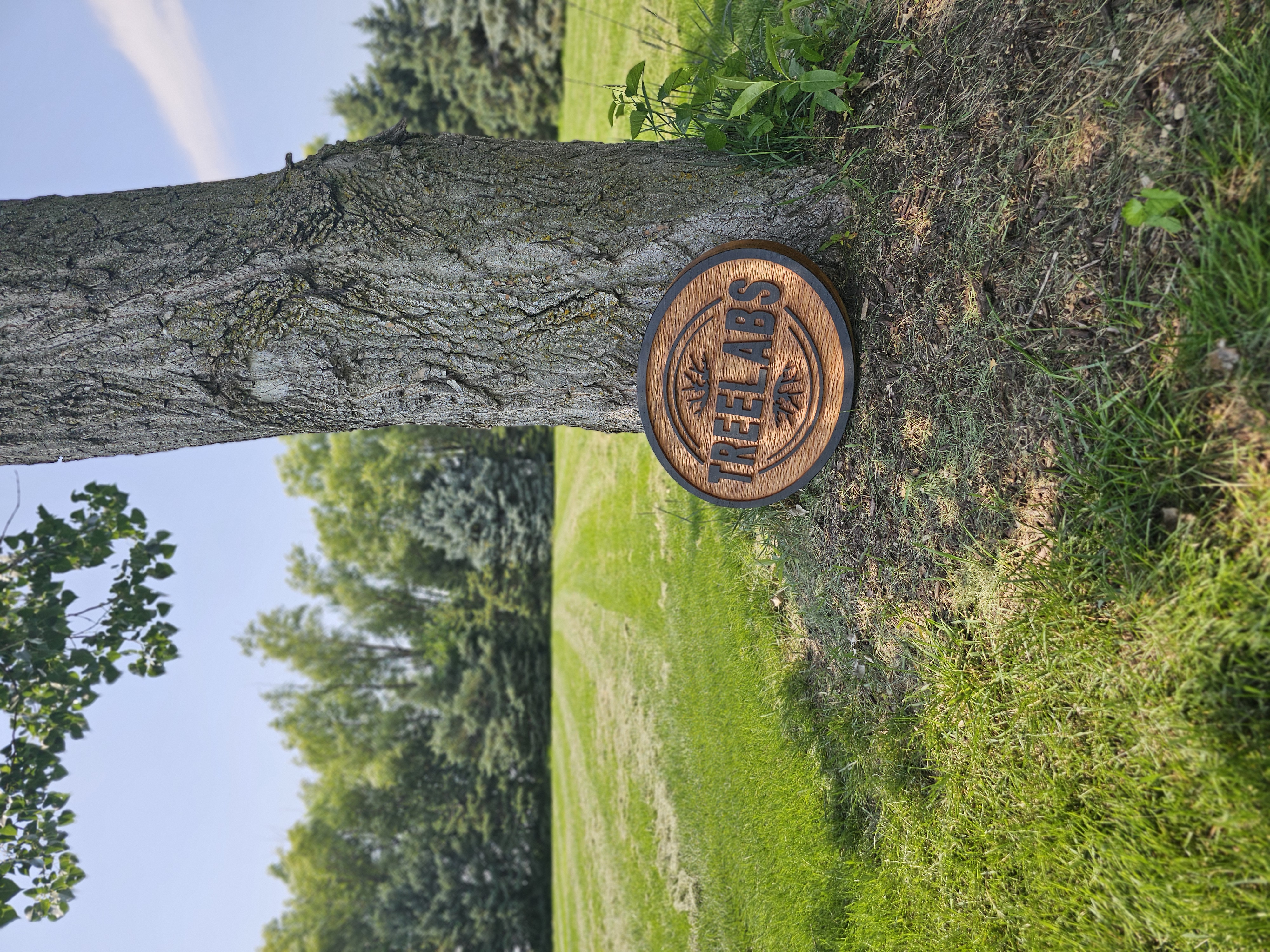 Carved Signs