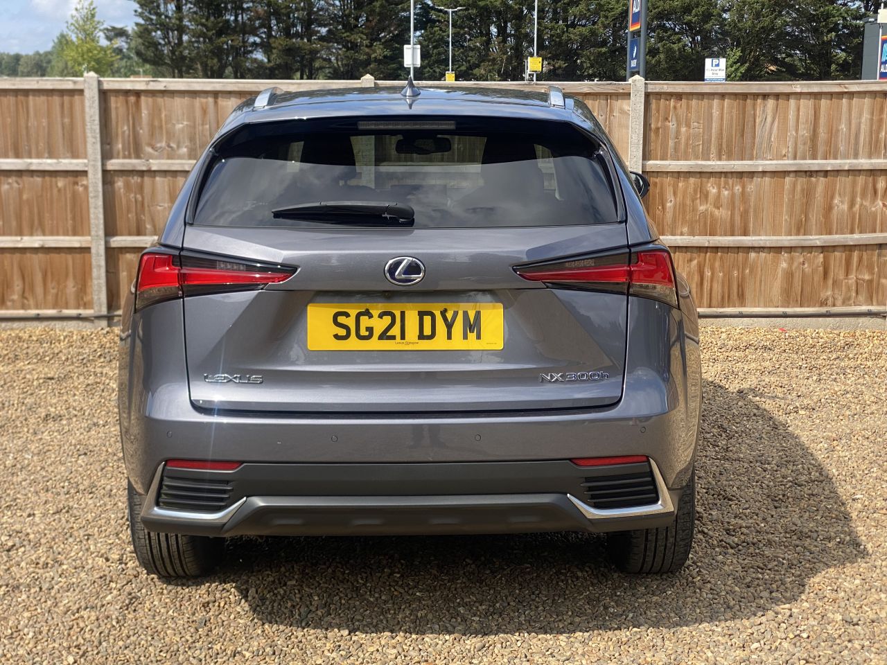 LEXUS NX