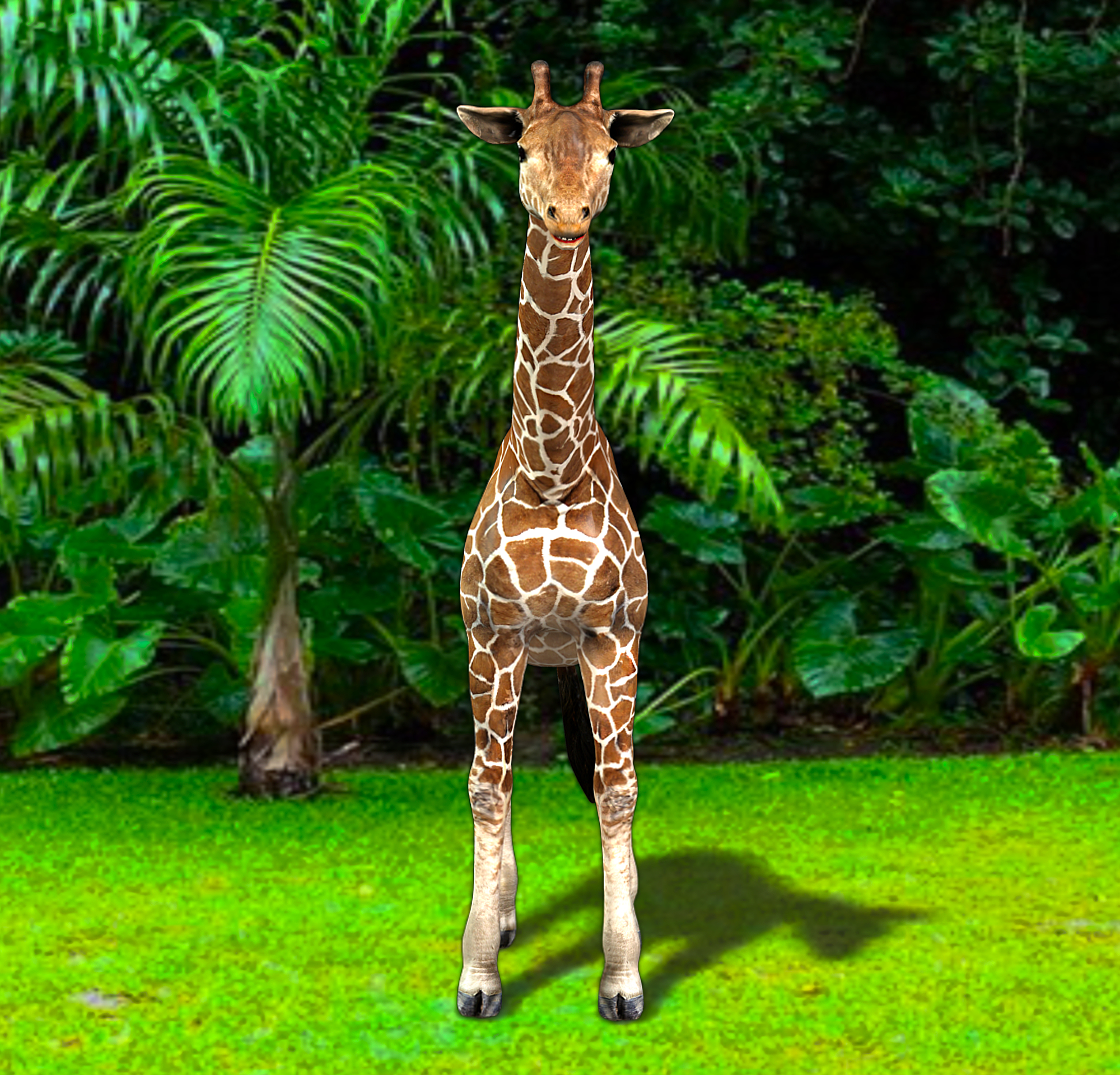 Giraffe Animations