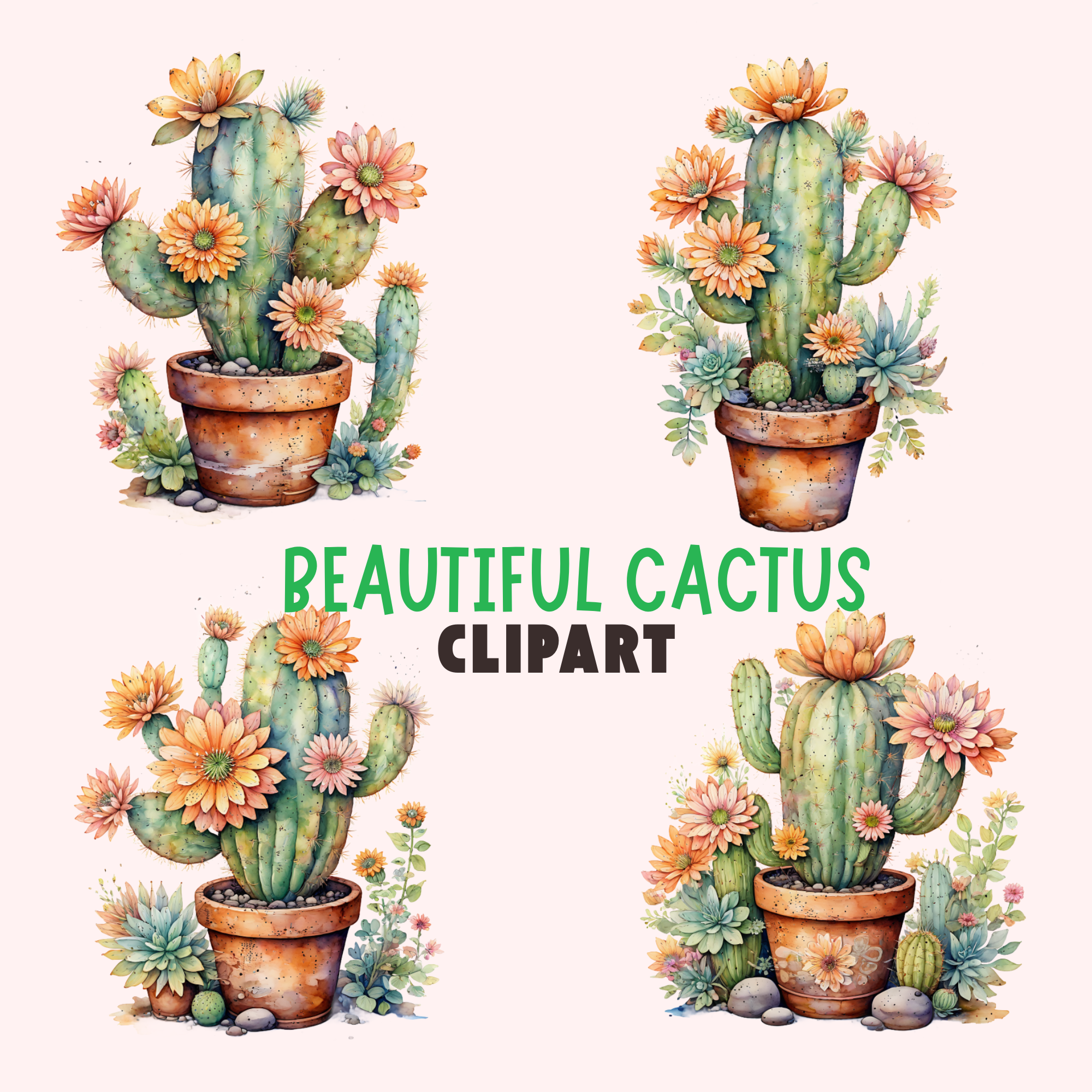 Vibrant Cactus Garden Clipart Bundle , plants clipart, cactus images