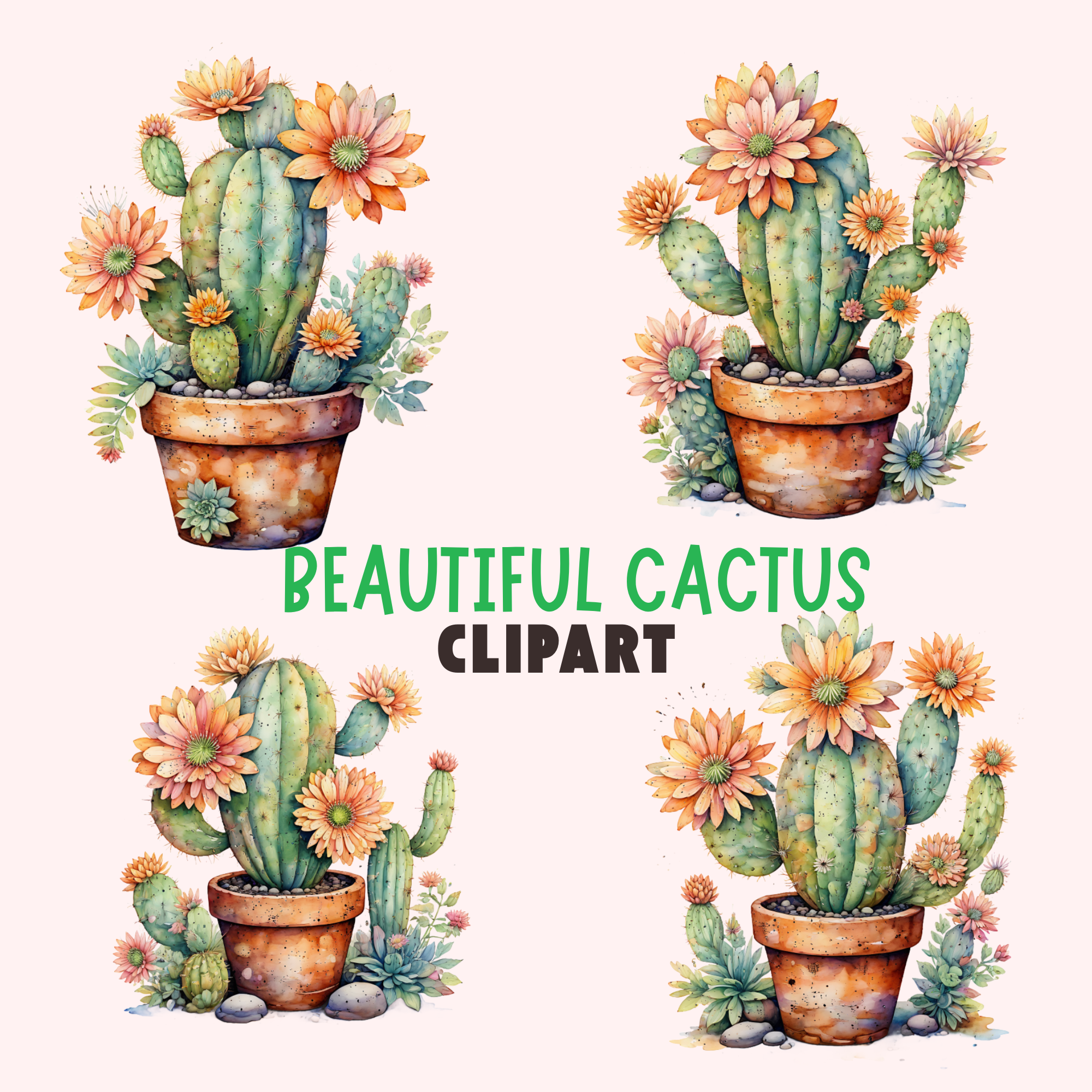 Vibrant Cactus Garden Clipart Bundle , plants clipart, cactus images