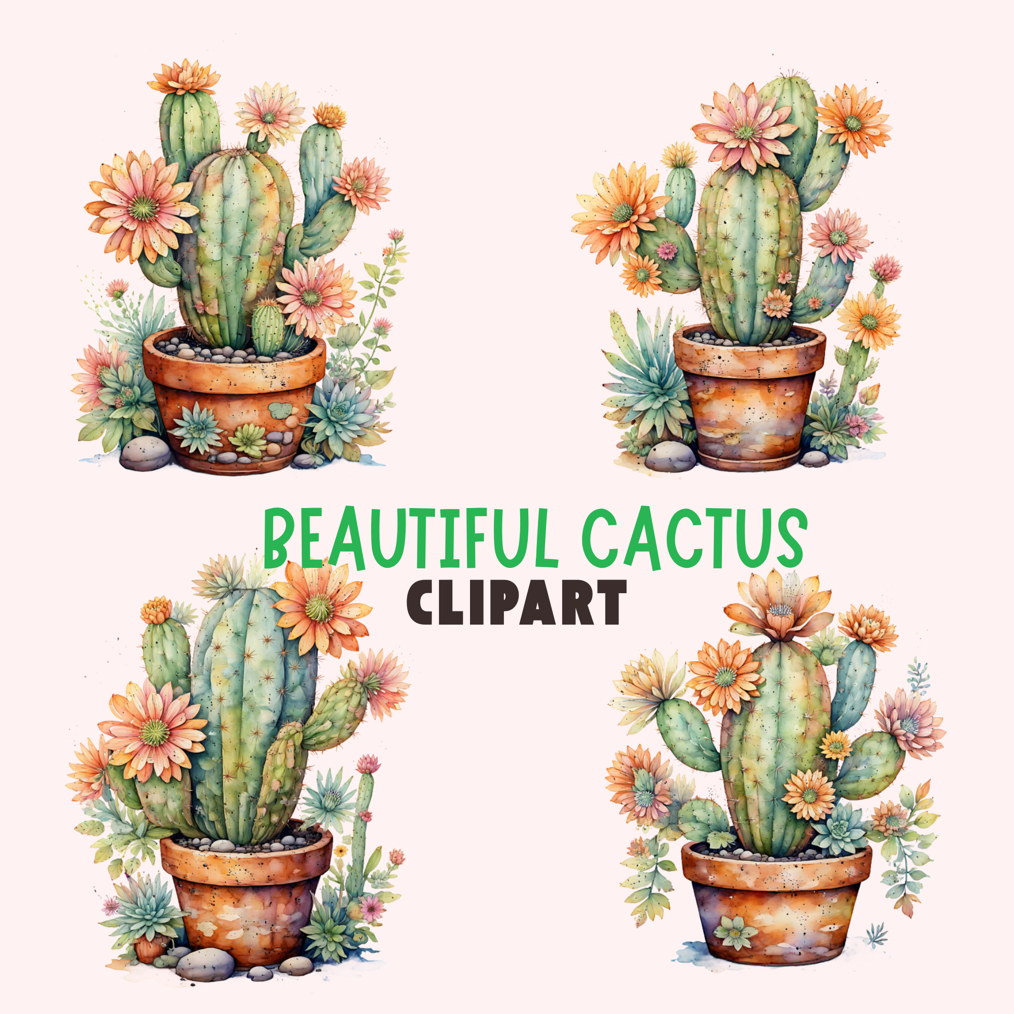 Vibrant Cactus Garden Clipart Bundle , plants clipart, cactus images