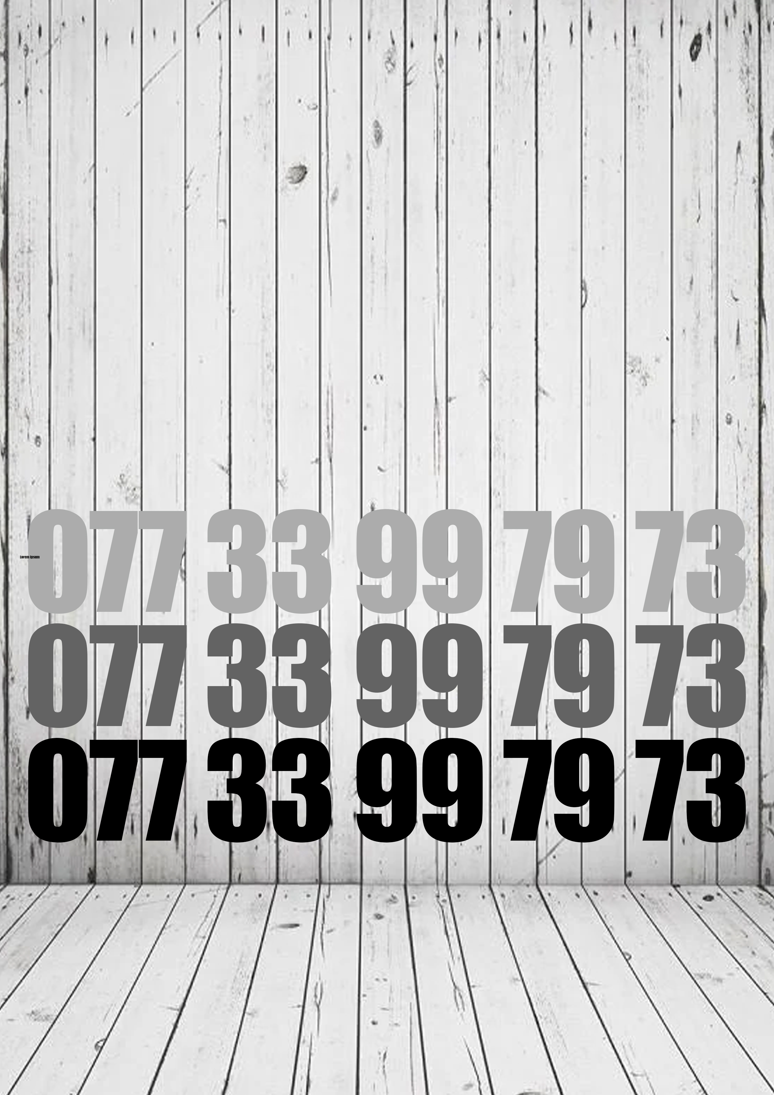 077 33 99 79 73