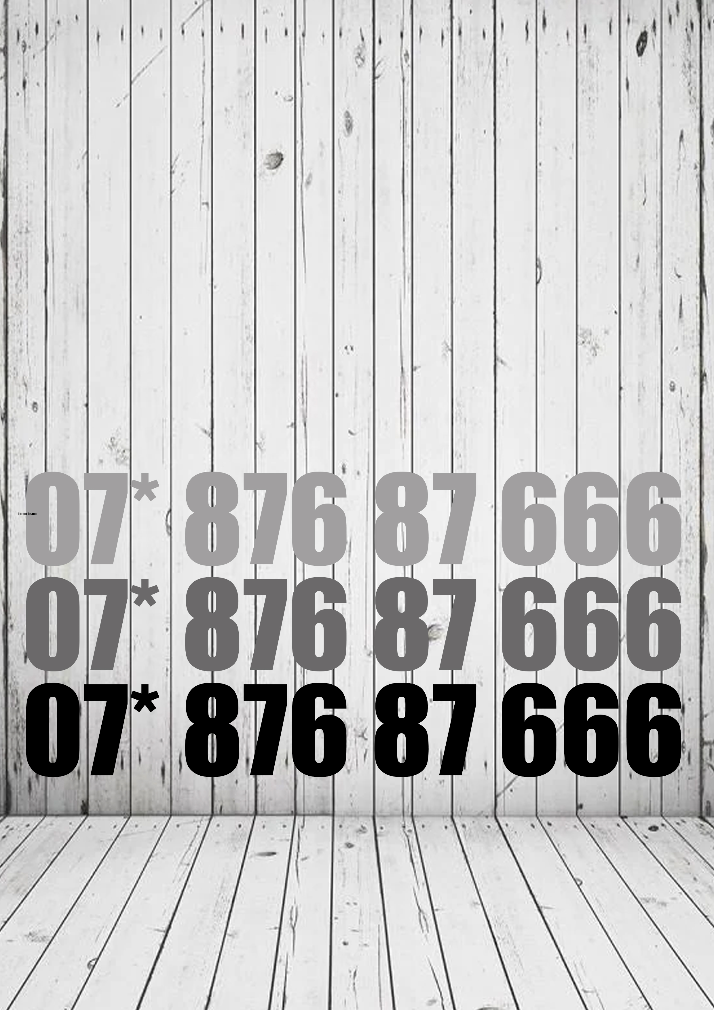 07* 876 87 666